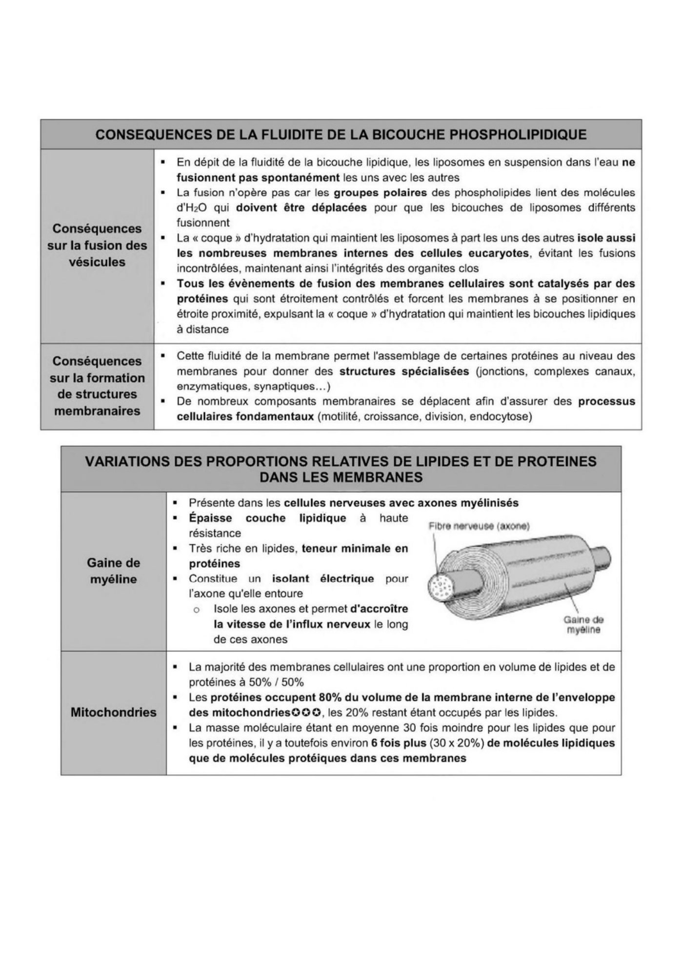 Composition des membranes cellulaires plasmique et endomembranes — page 10