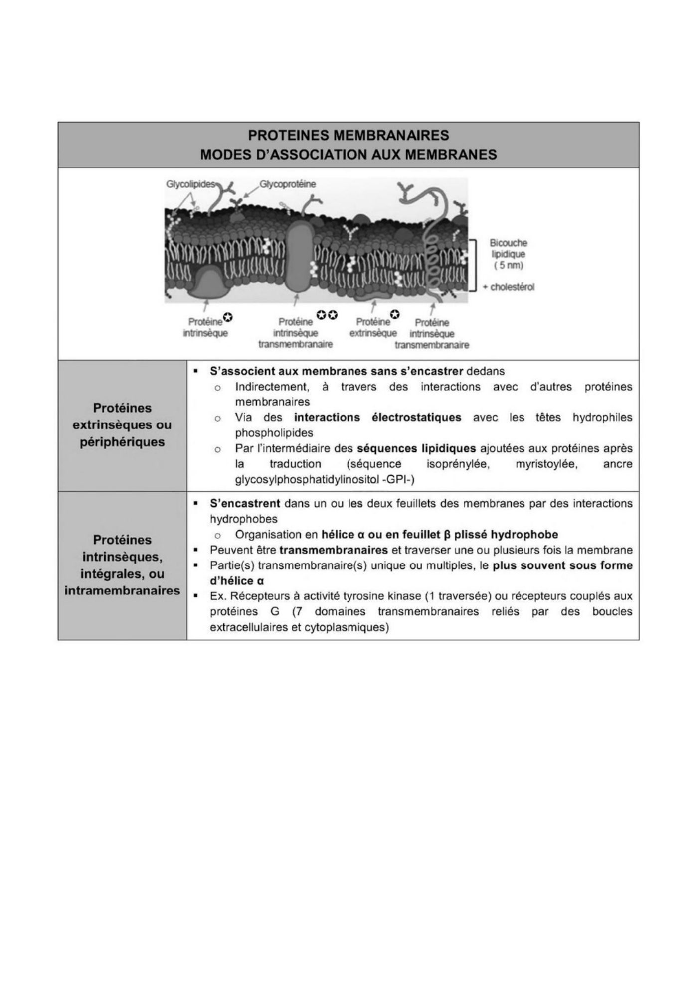 Composition des membranes cellulaires plasmique et endomembranes — page 14
