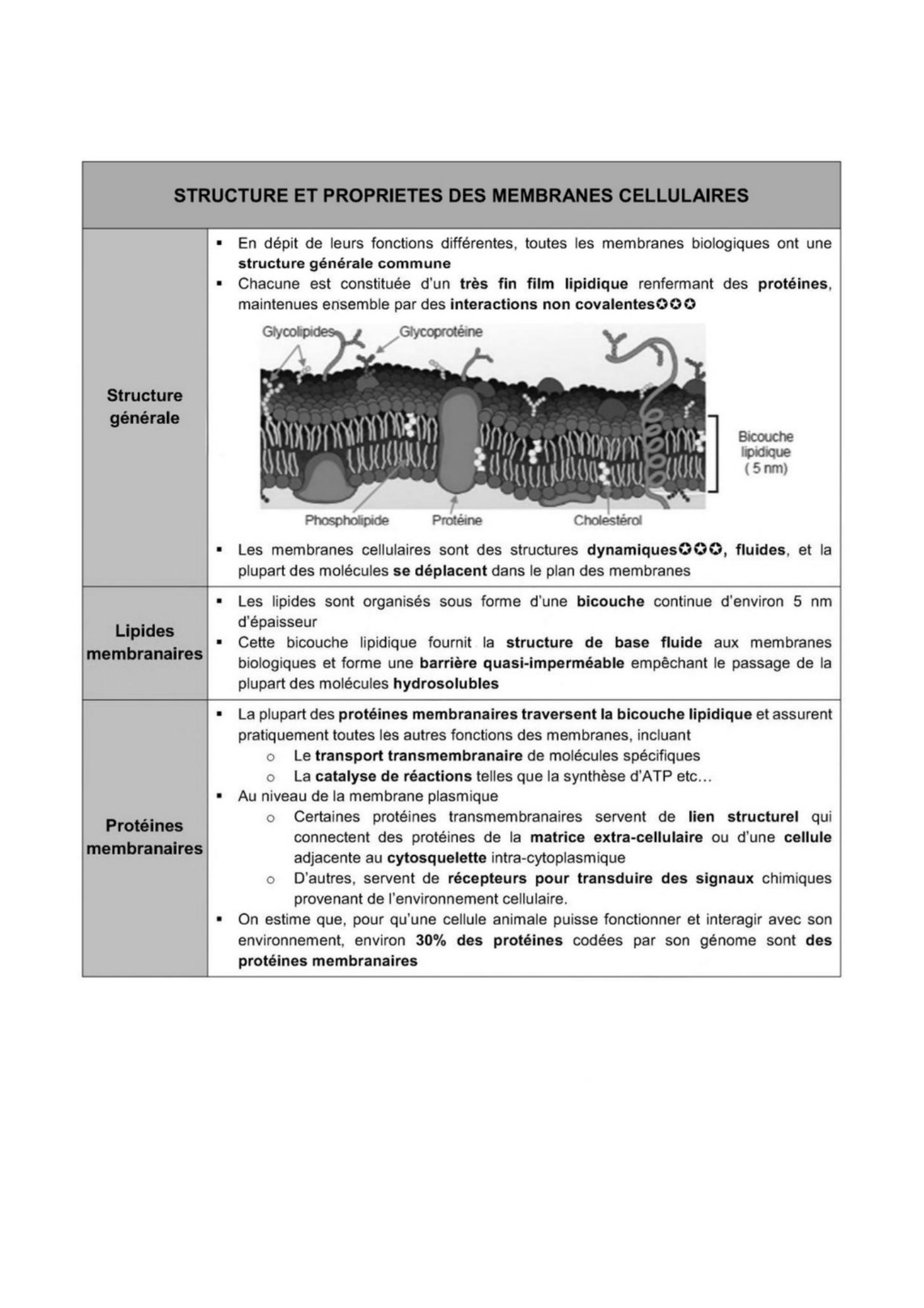 Composition des membranes cellulaires plasmique et endomembranes — page 4