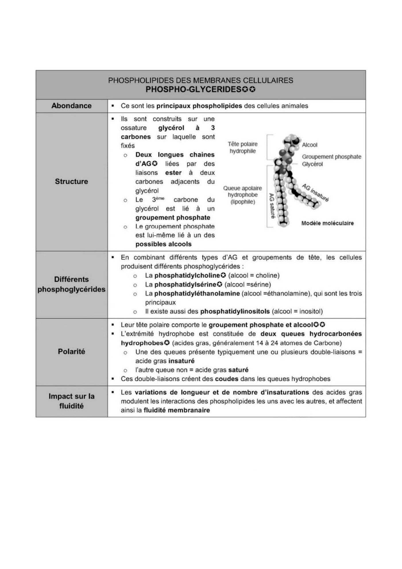 Composition des membranes cellulaires plasmique et endomembranes — page 6