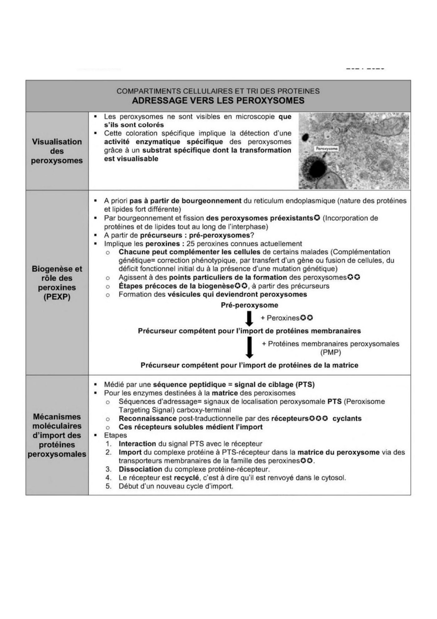Transport intracellulaire et trafic vesiculaire — page 10
