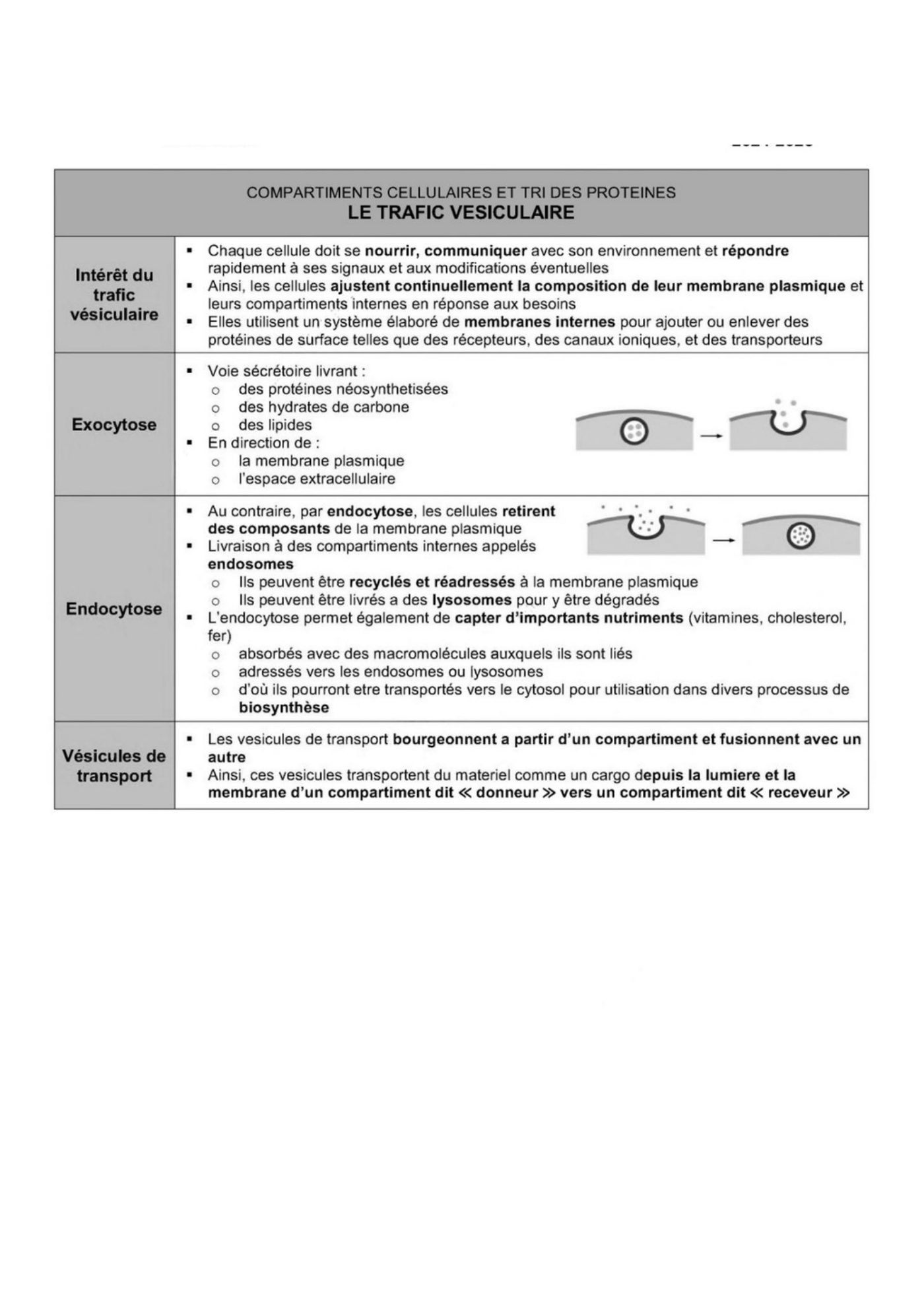 Transport intracellulaire et trafic vesiculaire — page 11