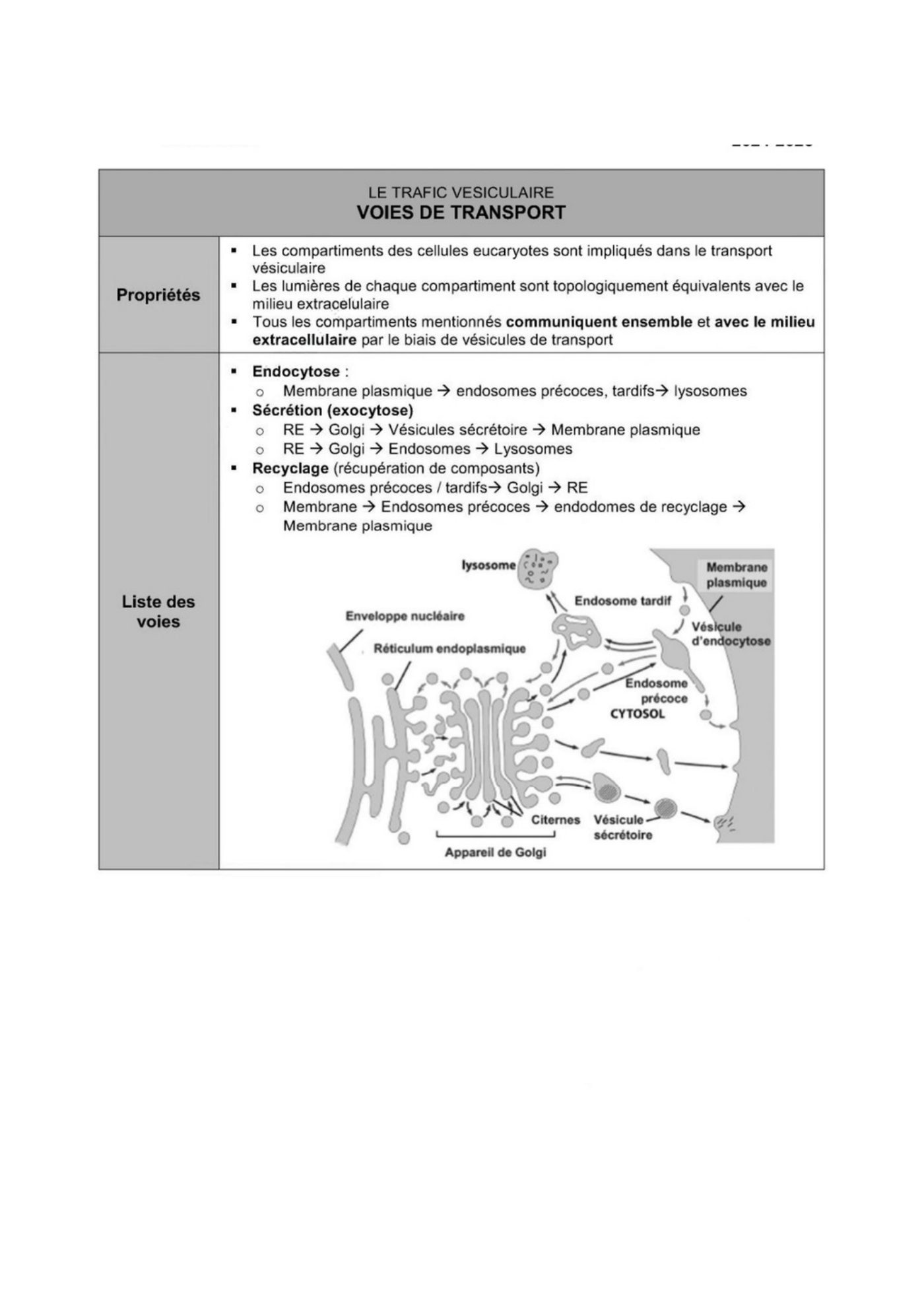 Transport intracellulaire et trafic vesiculaire — page 12