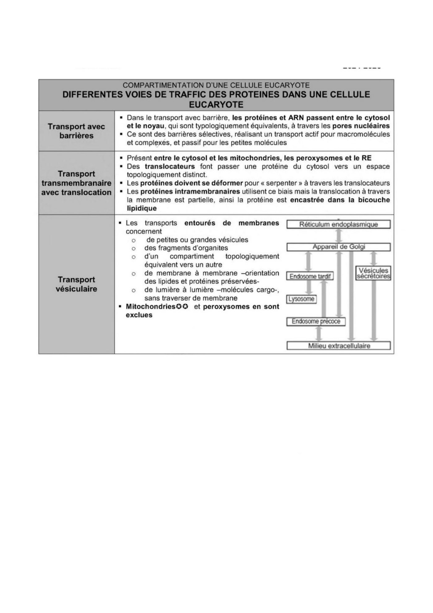 Transport intracellulaire et trafic vesiculaire — page 5