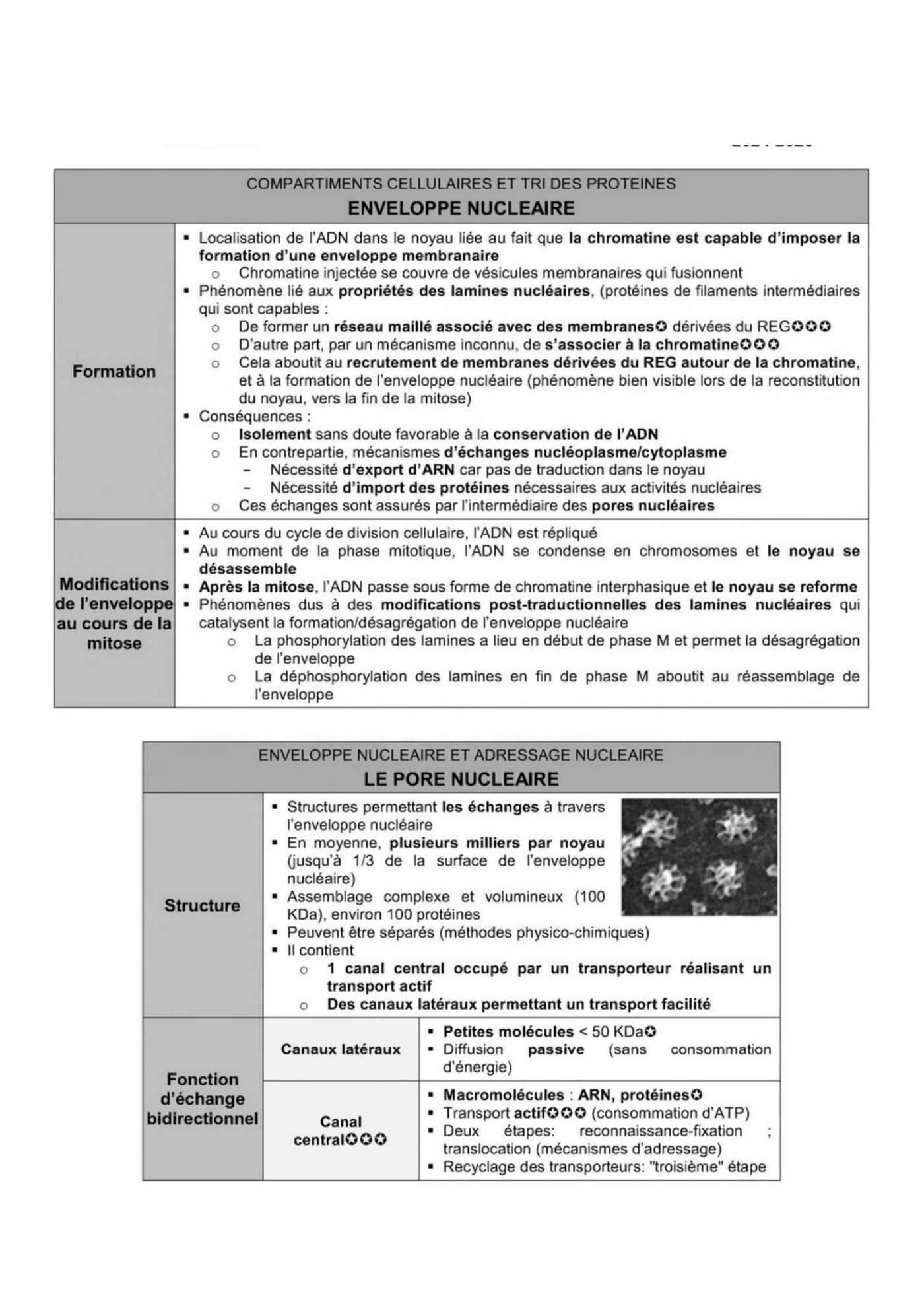 Transport intracellulaire et trafic vesiculaire — page 7