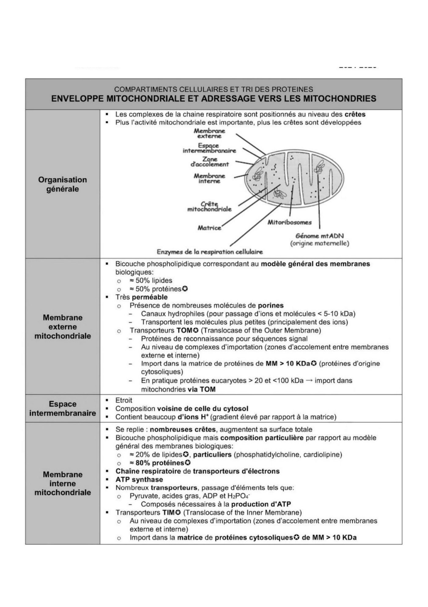 Transport intracellulaire et trafic vesiculaire — page 9