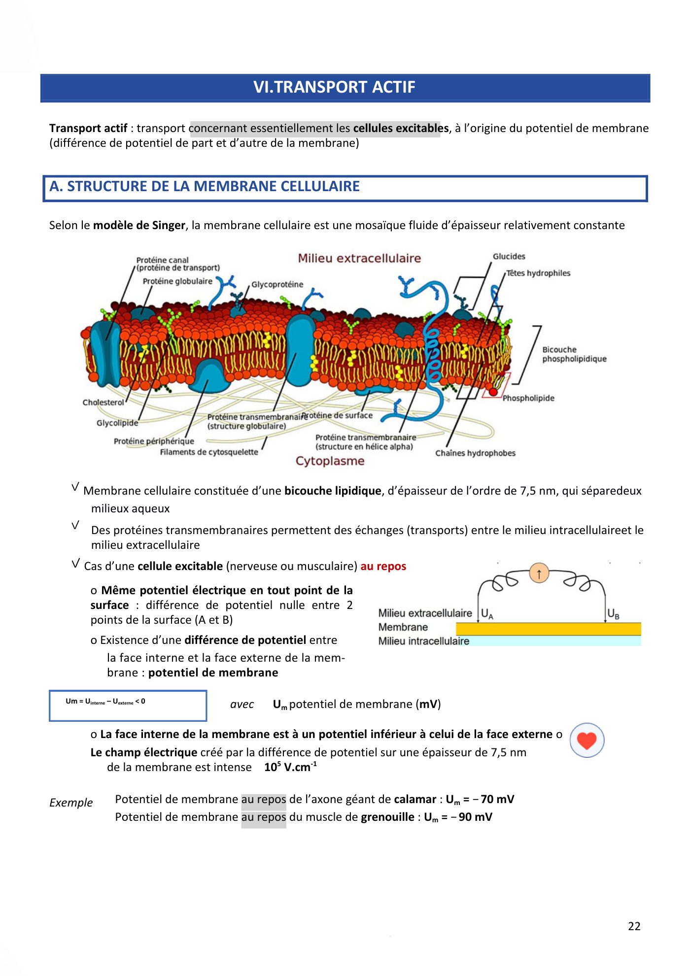 Aspects physiques des membranes pt1-2 — page 25