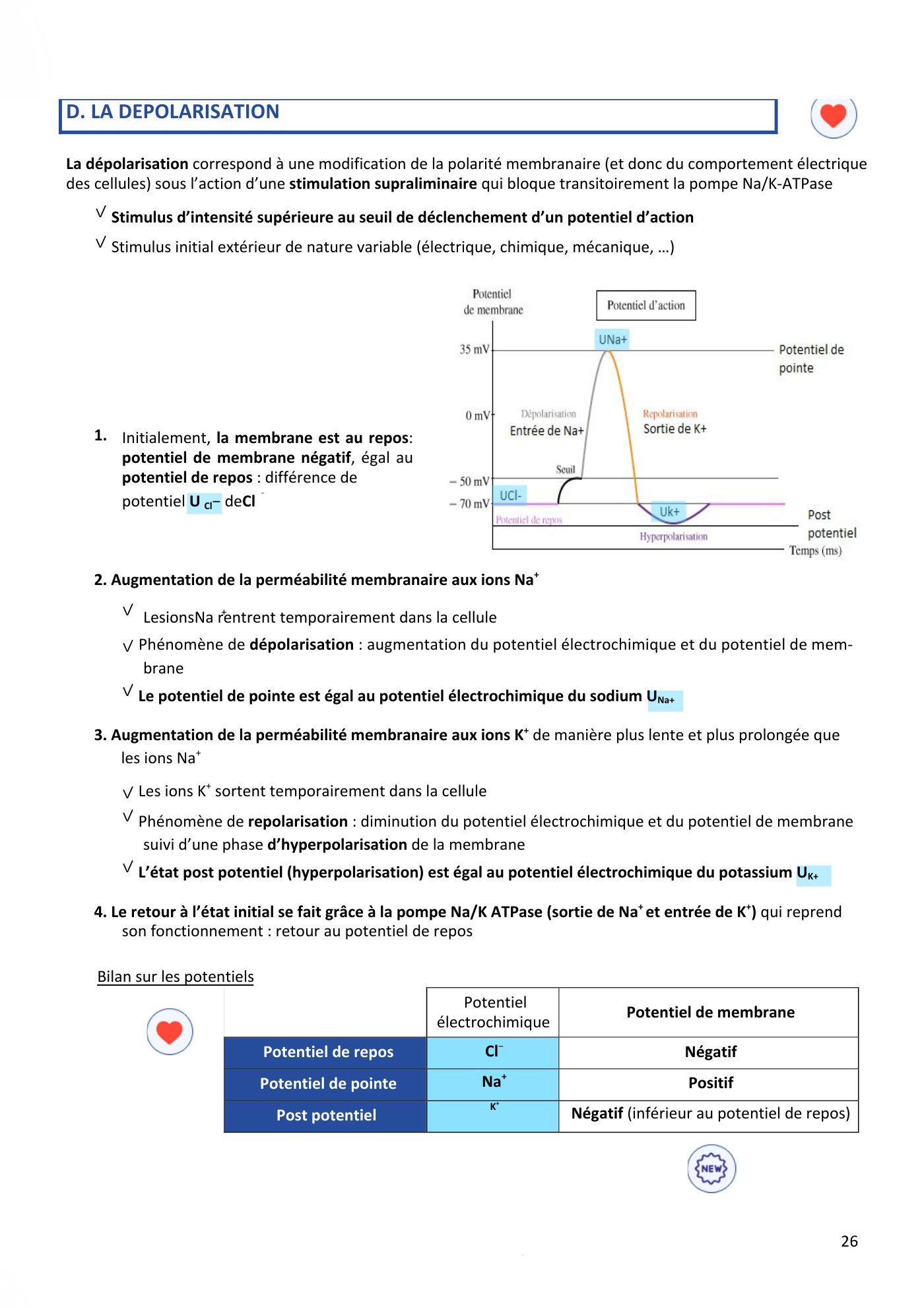 Aspects physiques des membranes pt1-2 — page 29