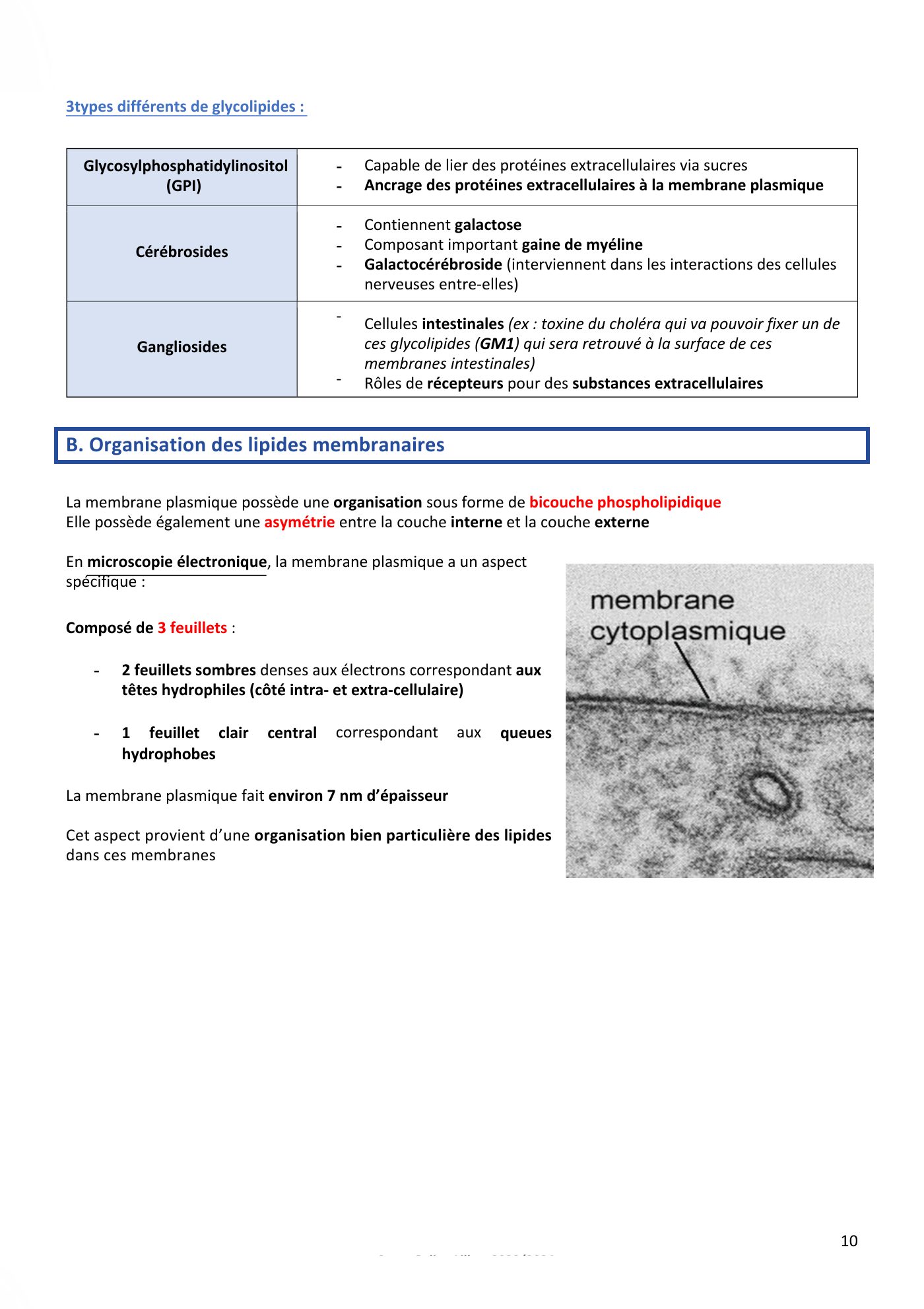 Membranes cellulaires pt1-2 — page 10
