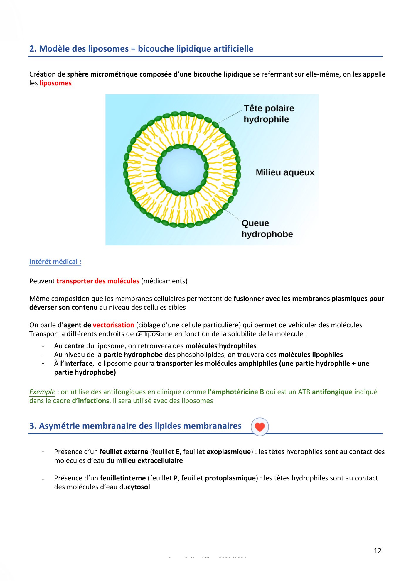 Membranes cellulaires pt1-2 — page 12
