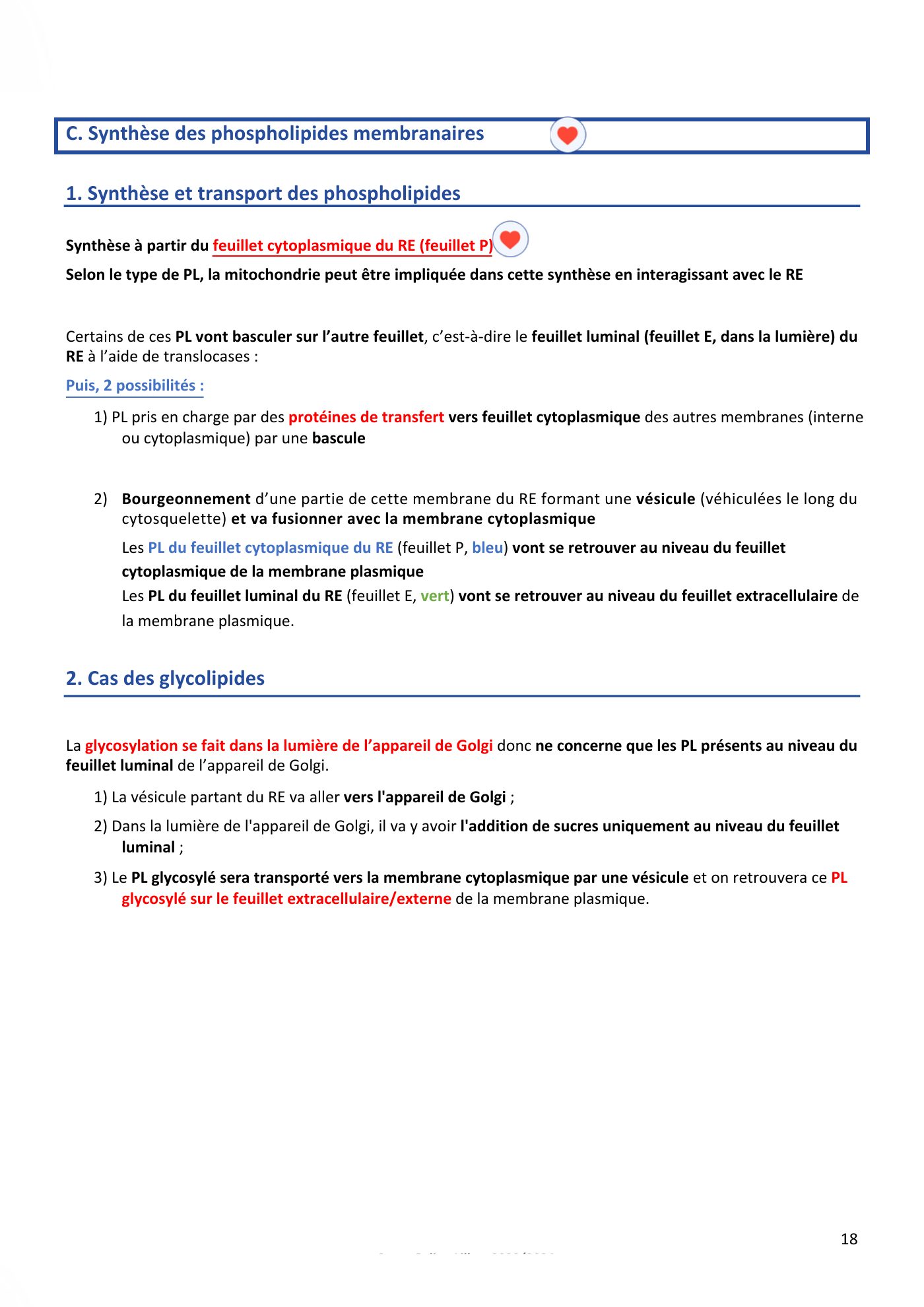 Membranes cellulaires pt1-2 — page 18