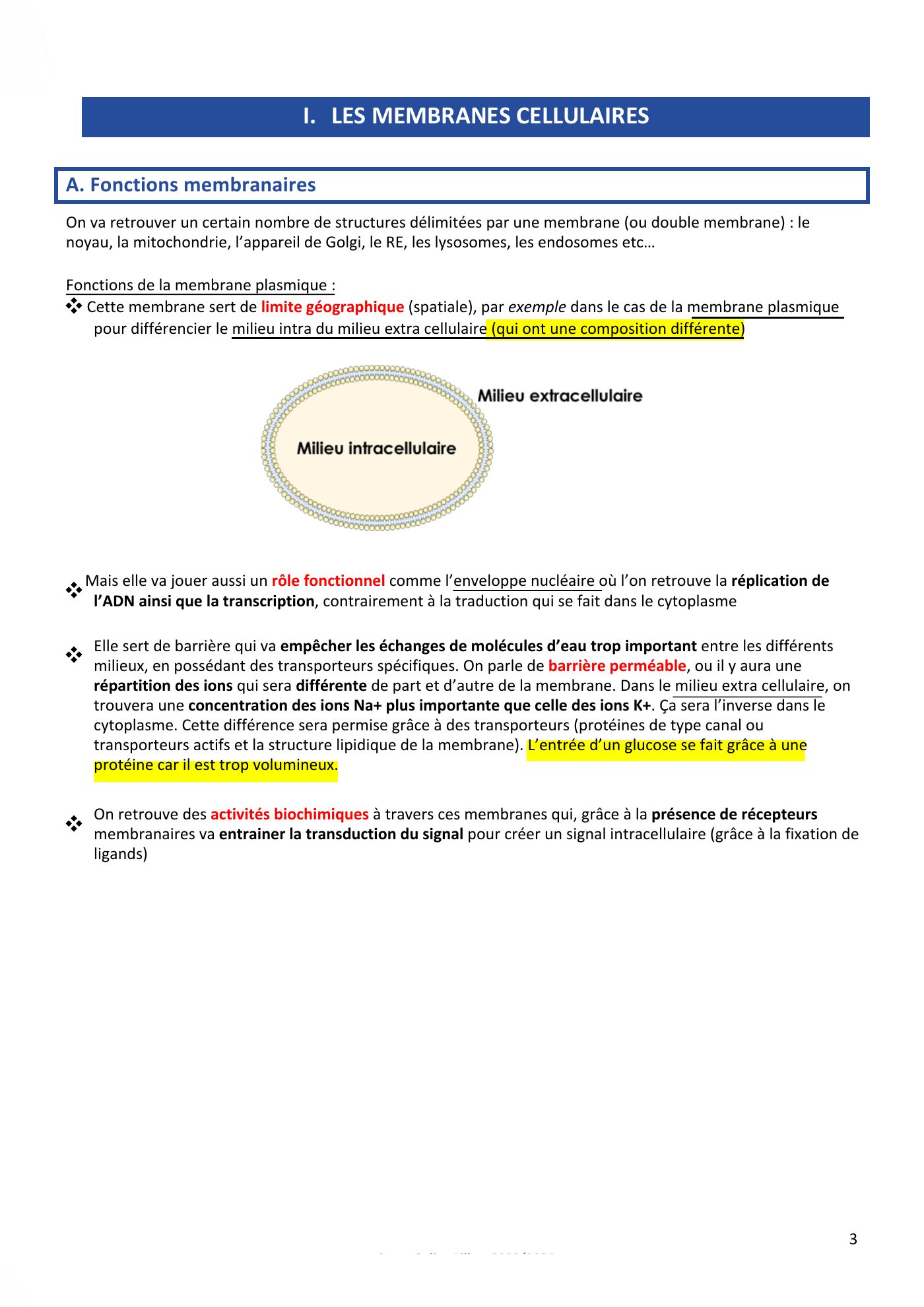 Membranes cellulaires pt1-2 — page 3