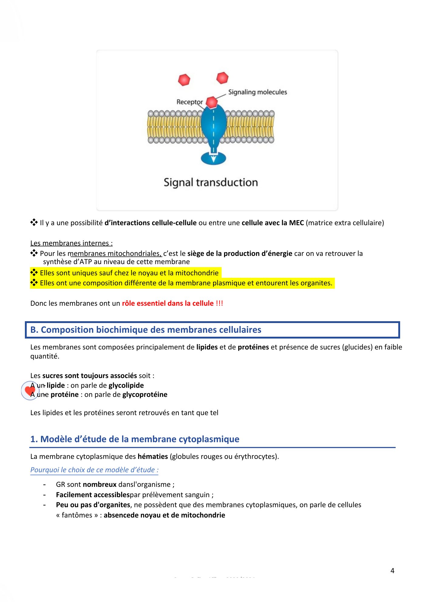 Membranes cellulaires pt1-2 — page 4