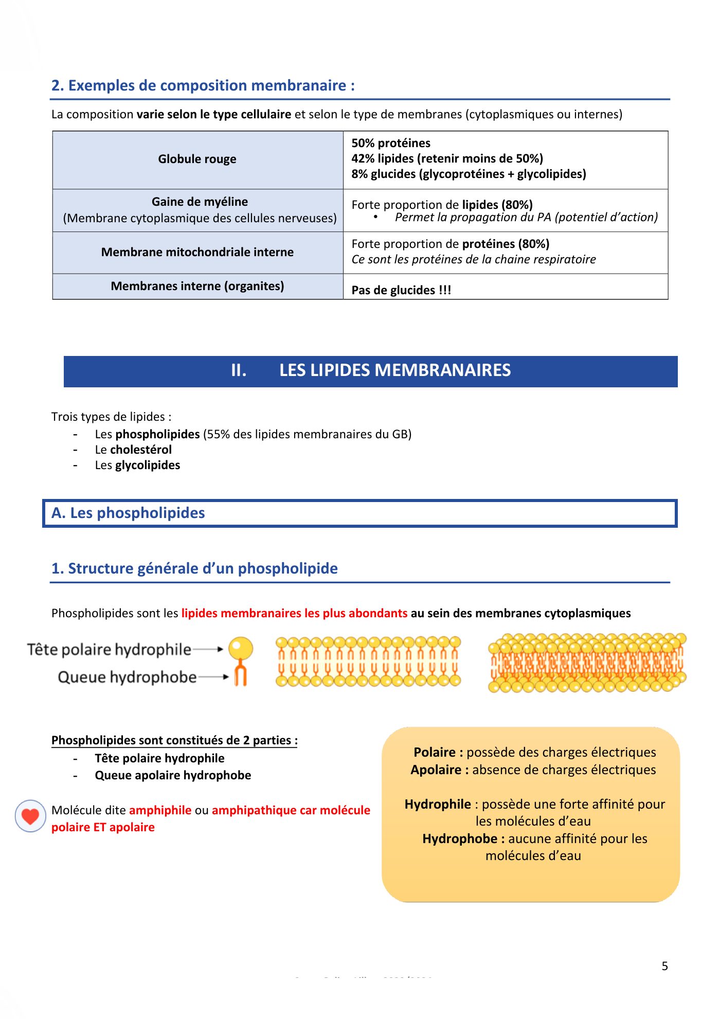 Membranes cellulaires pt1-2 — page 5