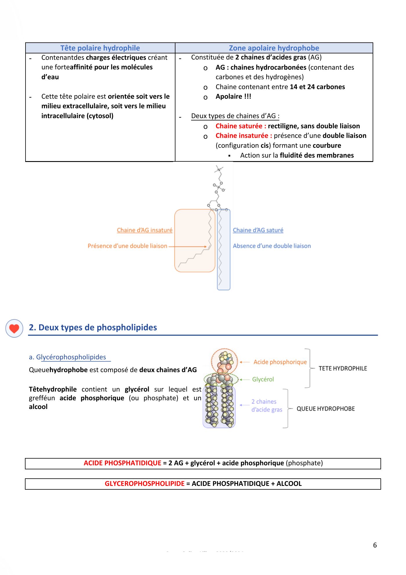 Membranes cellulaires pt1-2 — page 6