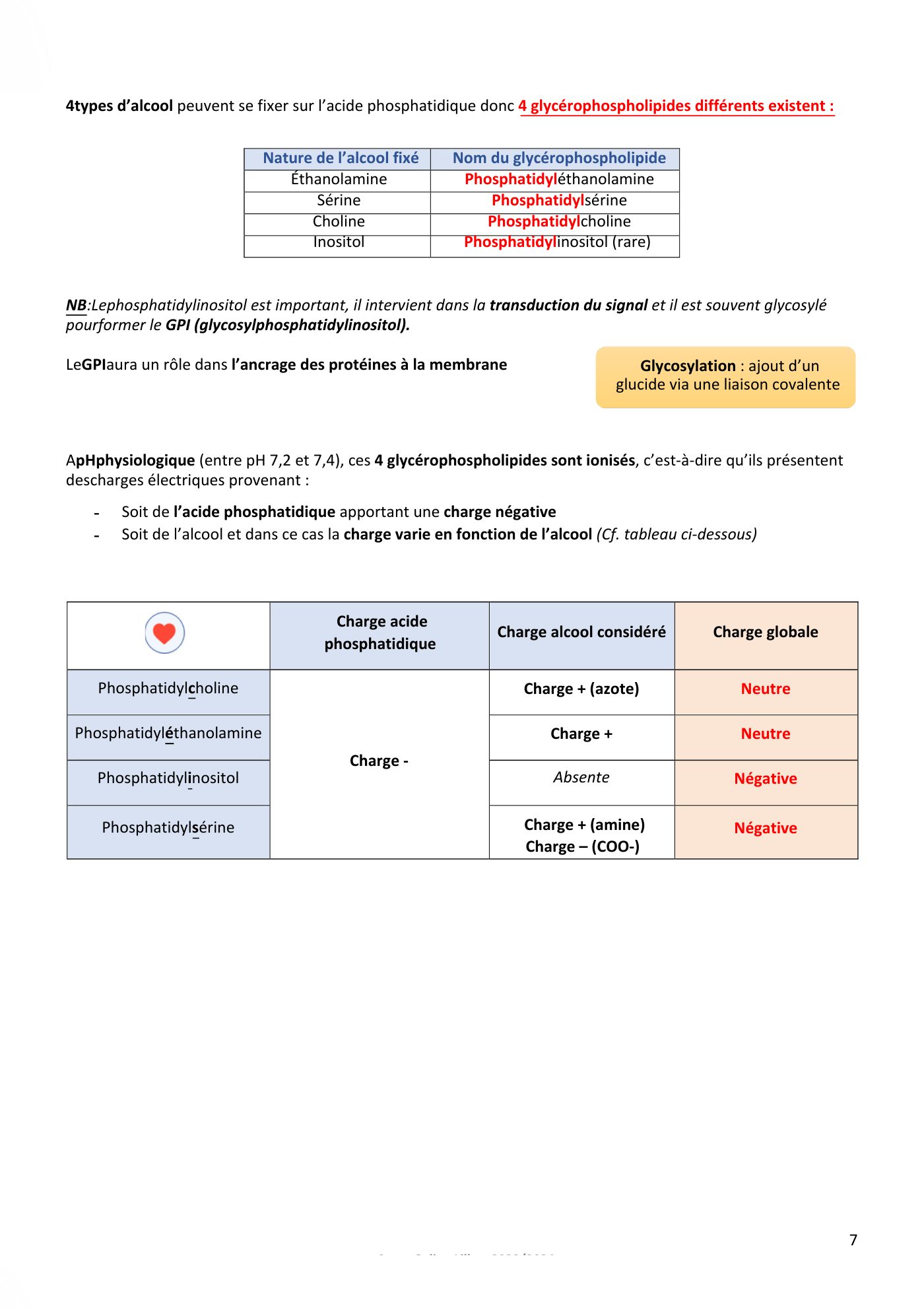 Membranes cellulaires pt1-2 — page 7