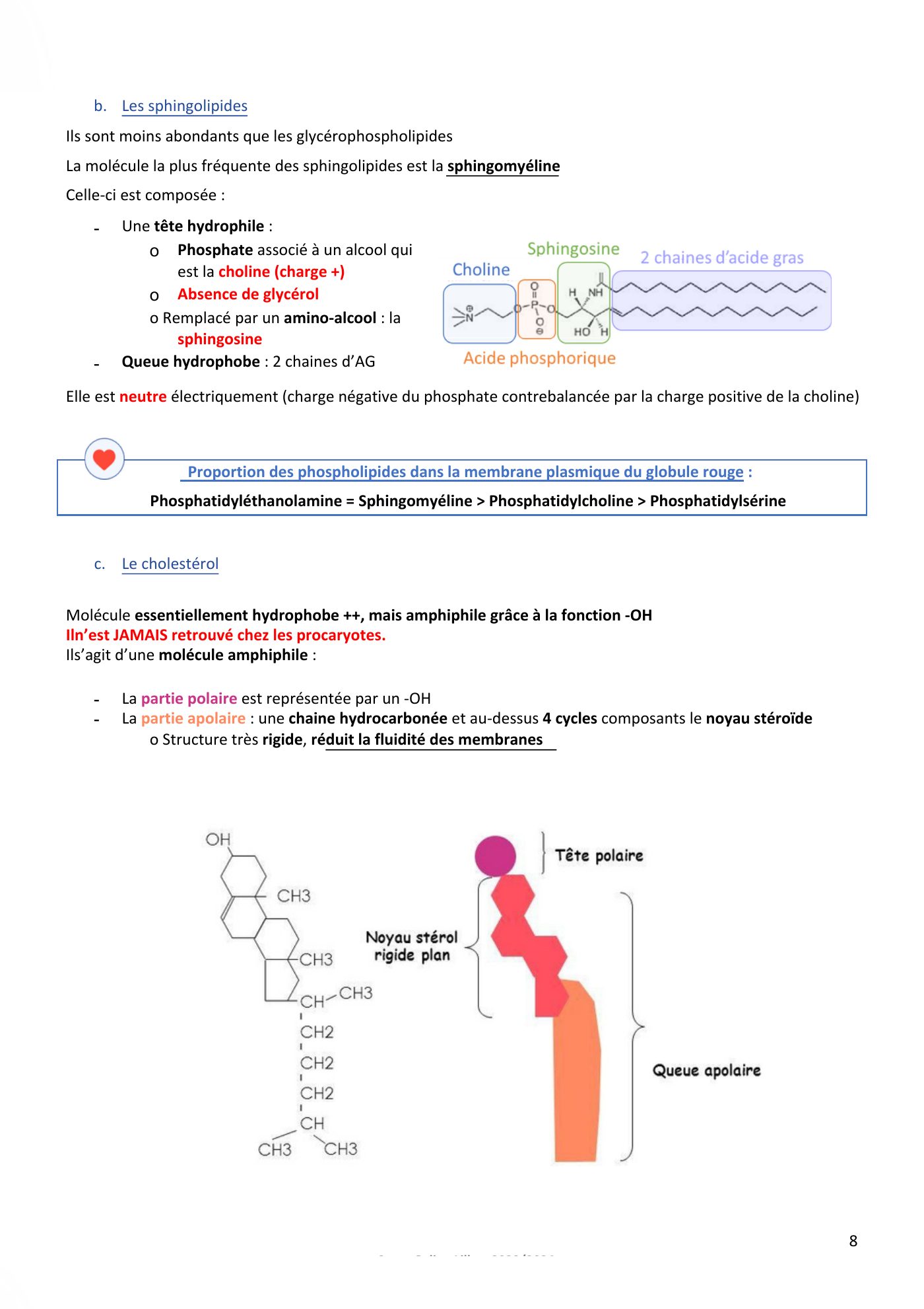 Membranes cellulaires pt1-2 — page 8