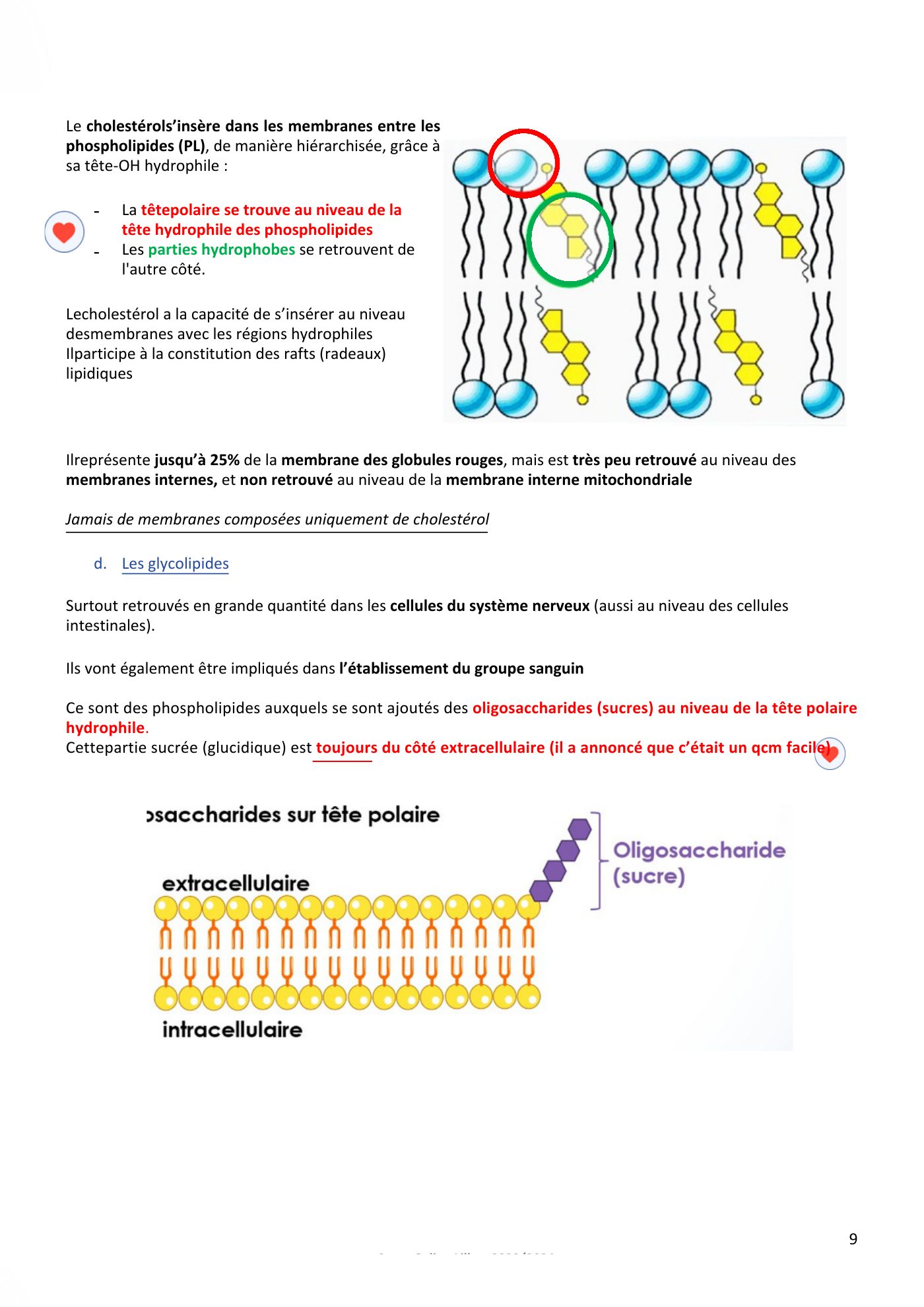 Membranes cellulaires pt1-2 — page 9