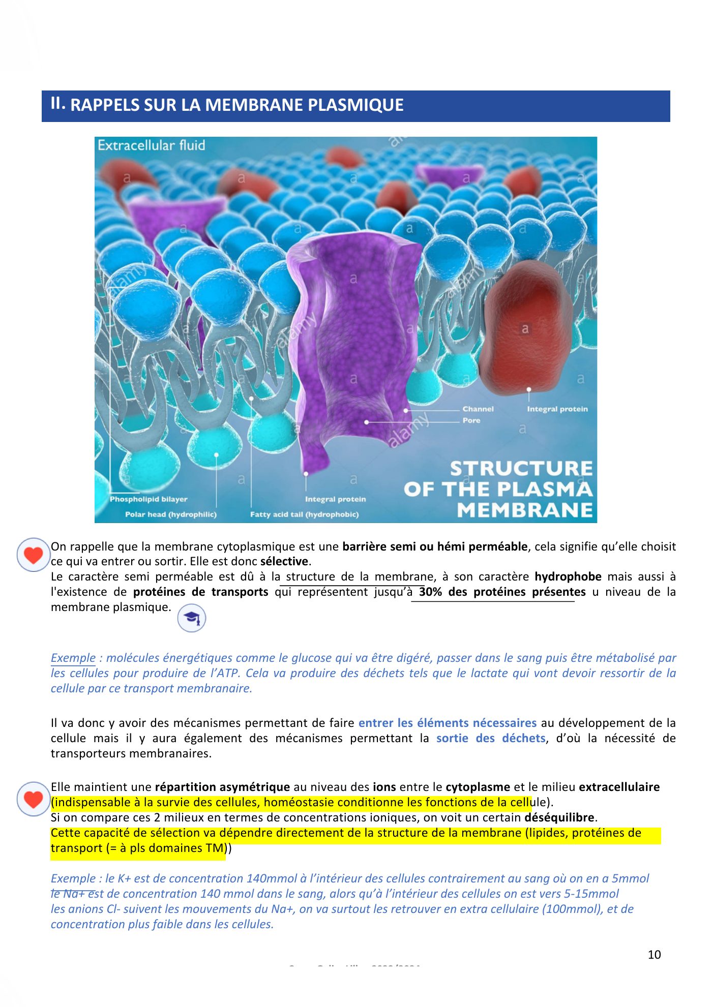 Membranes cellulaires pt3 — page 10