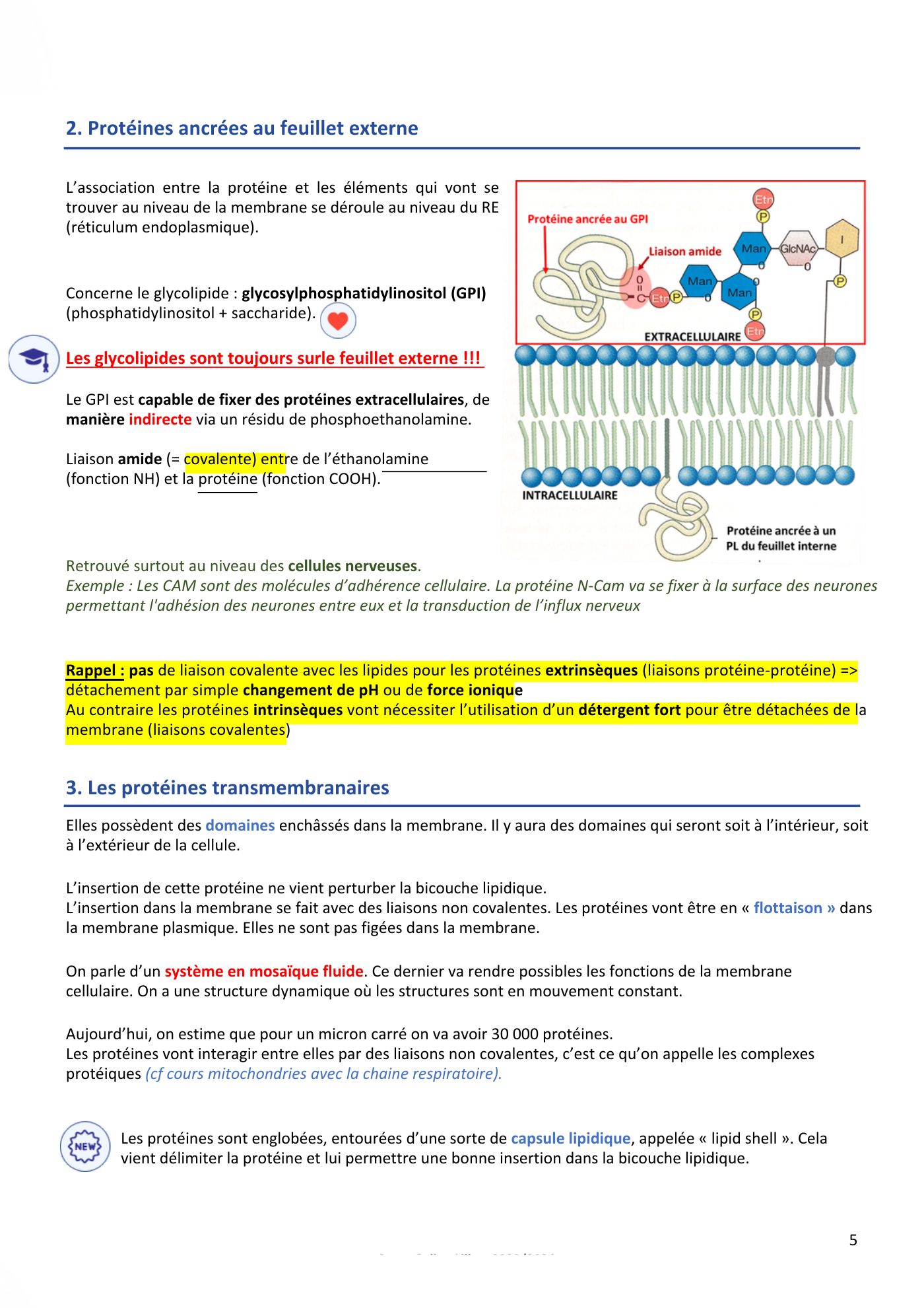 Membranes cellulaires pt3 — page 5