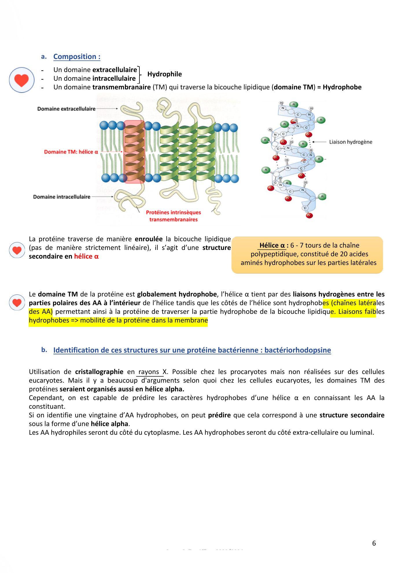 Membranes cellulaires pt3 — page 6