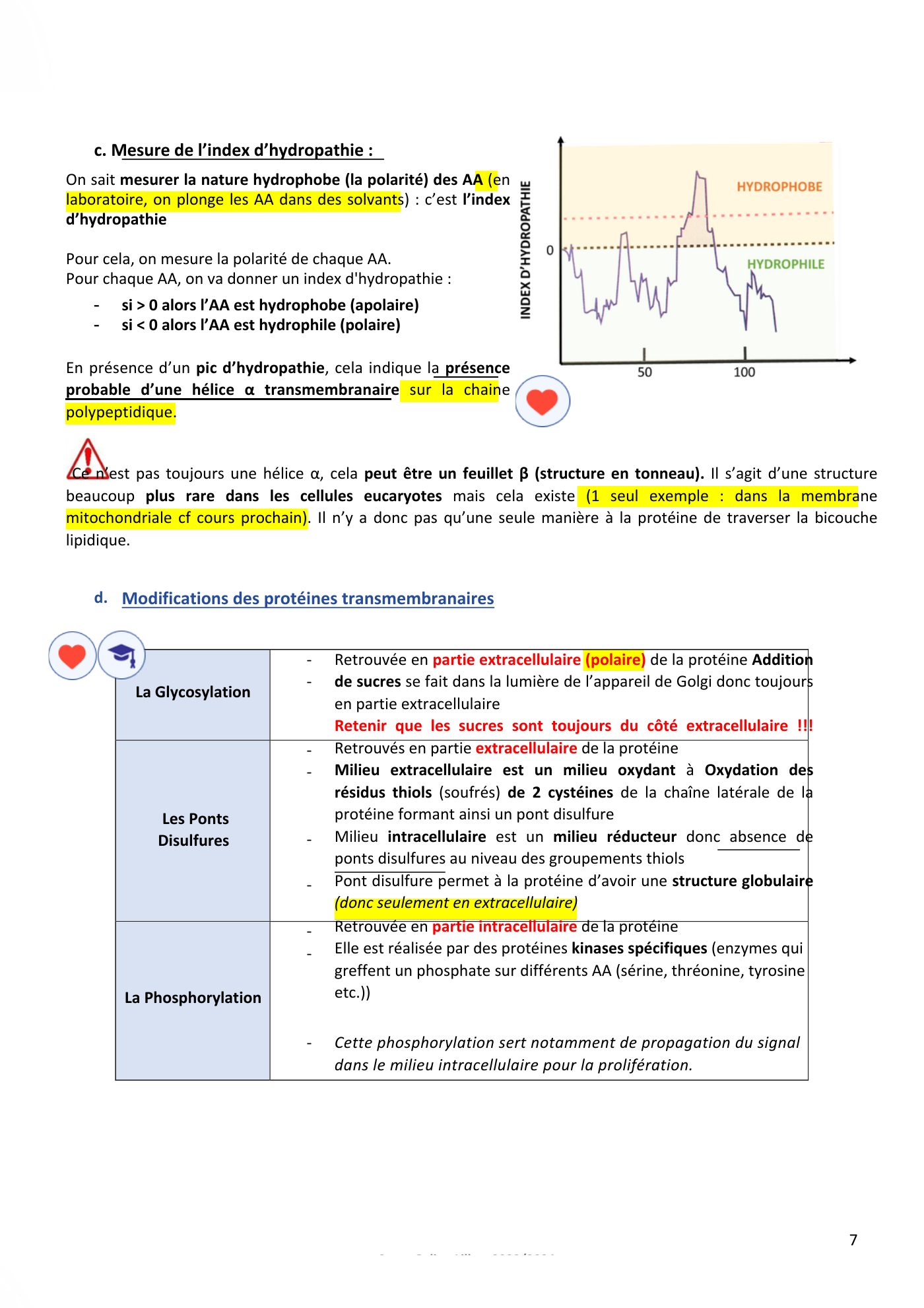 Membranes cellulaires pt3 — page 7