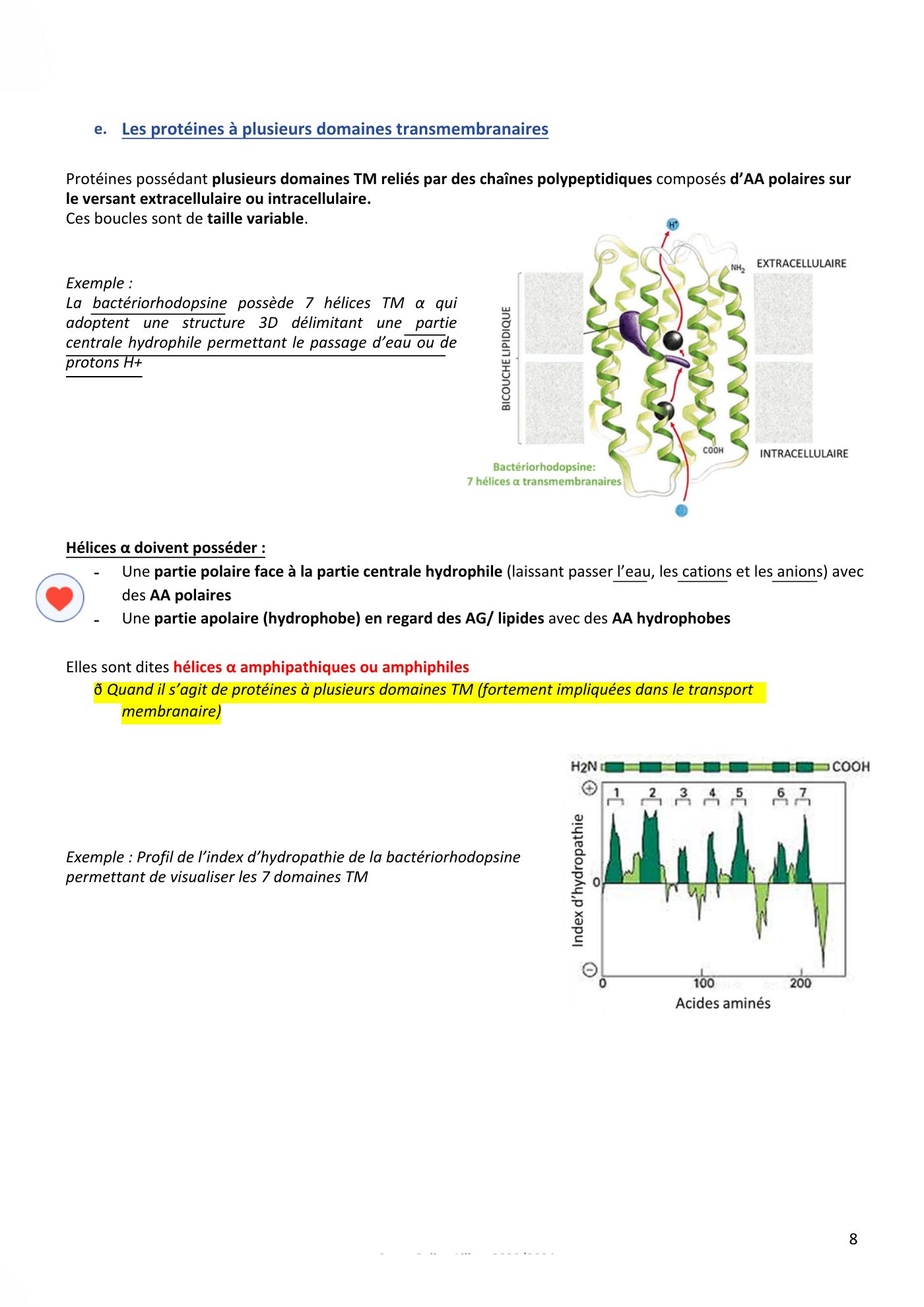 Membranes cellulaires pt3 — page 8
