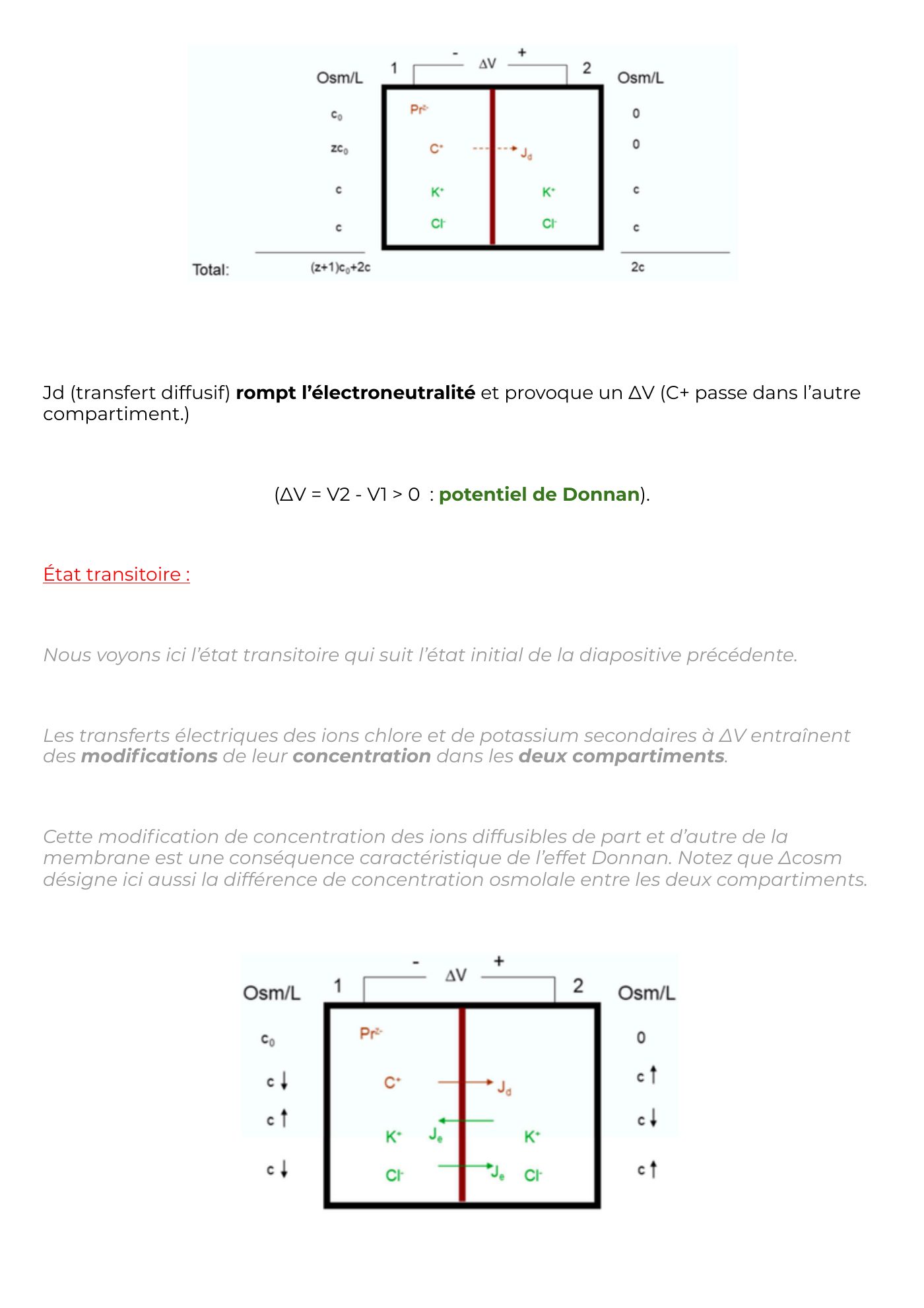 Potentiel membranaire — page 10