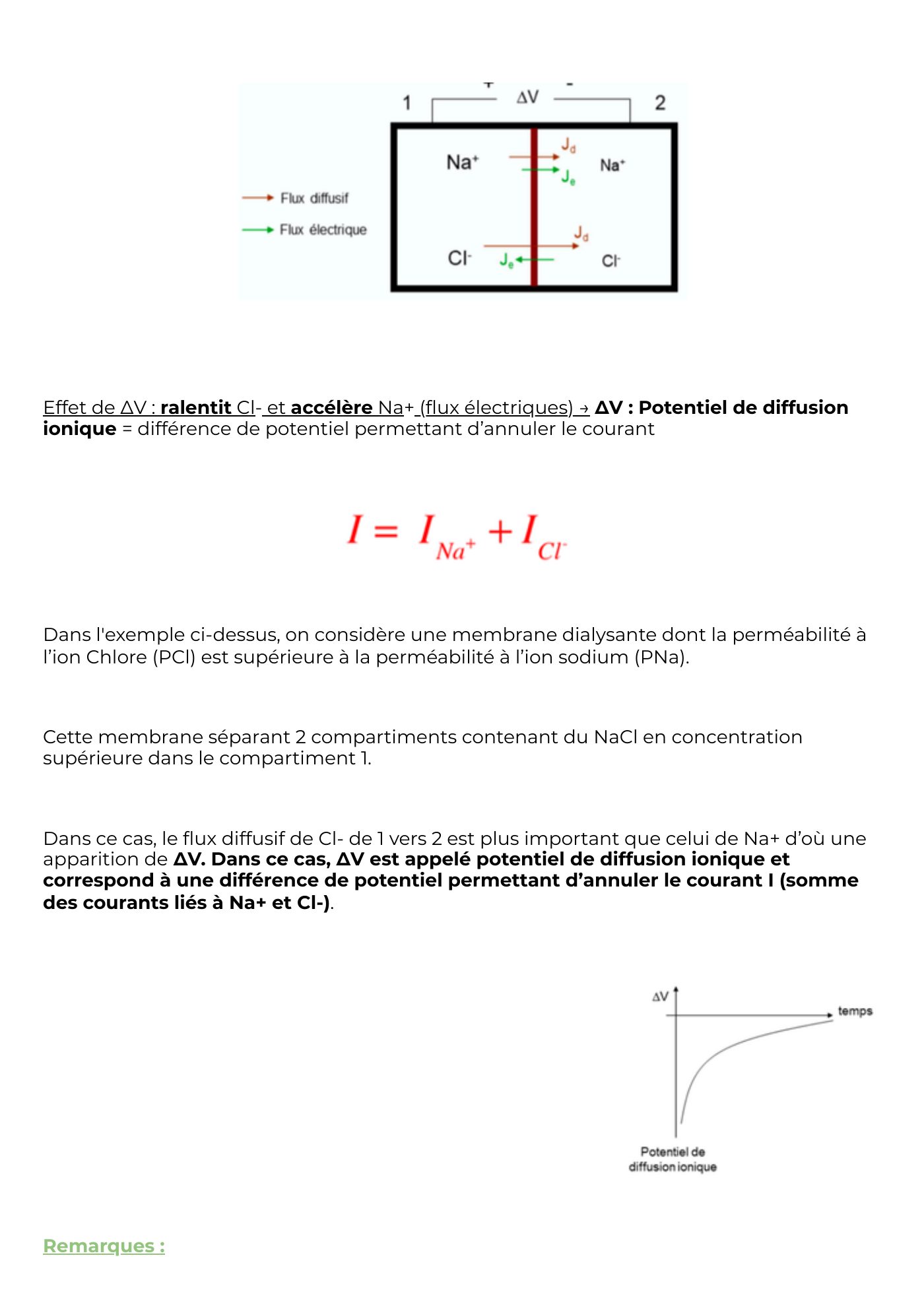 Potentiel membranaire — page 15