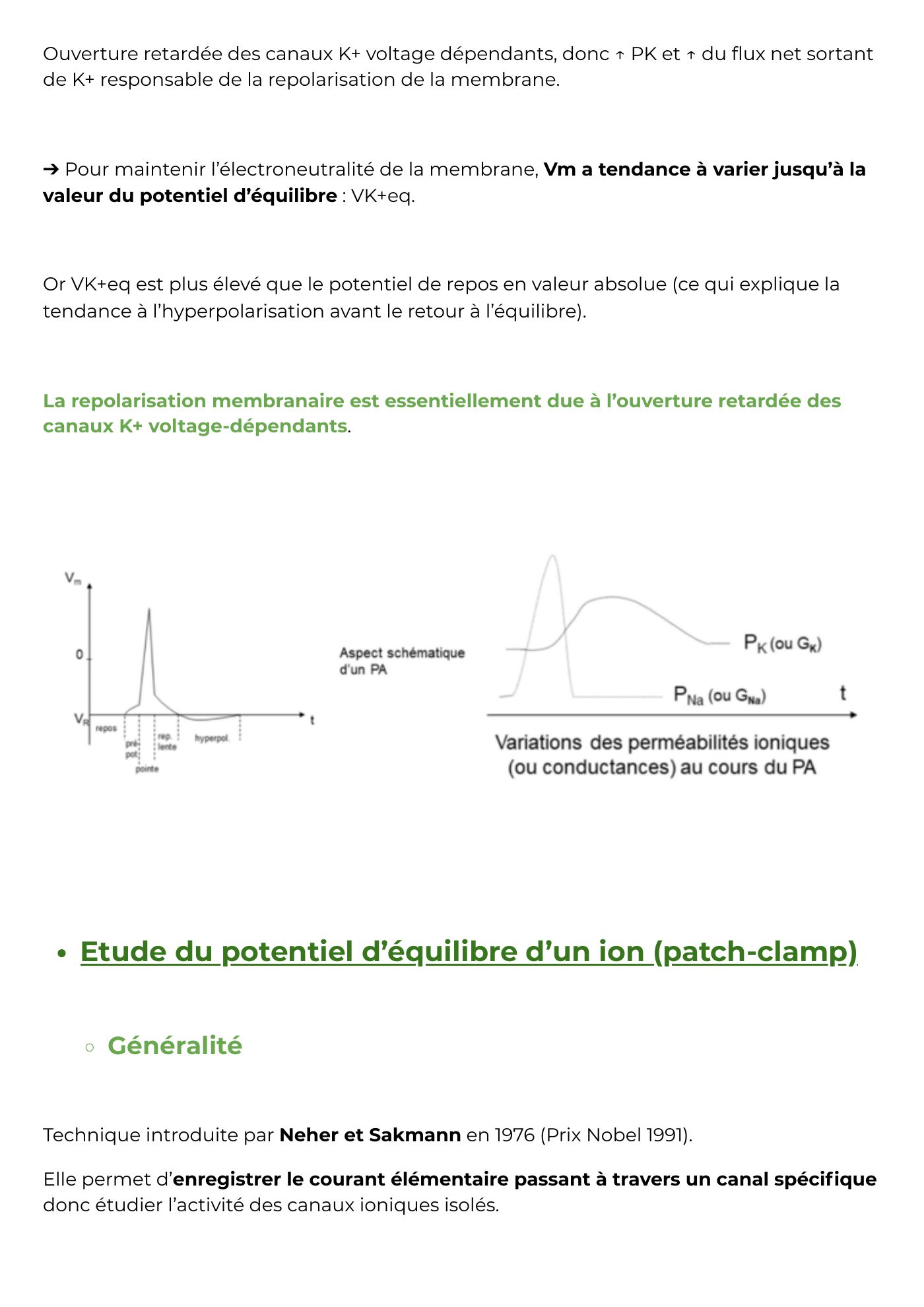 Potentiel membranaire partie 2 — page 14