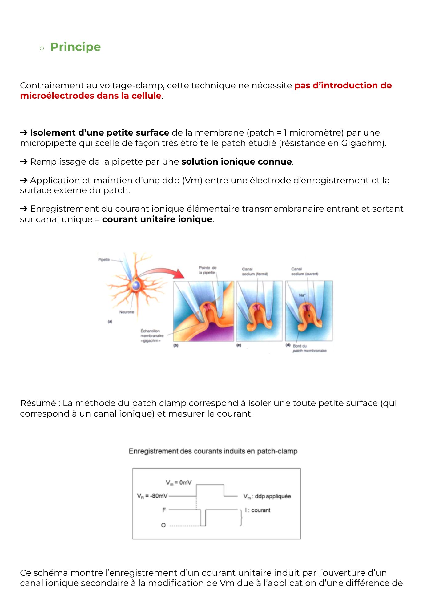 Potentiel membranaire partie 2 — page 15