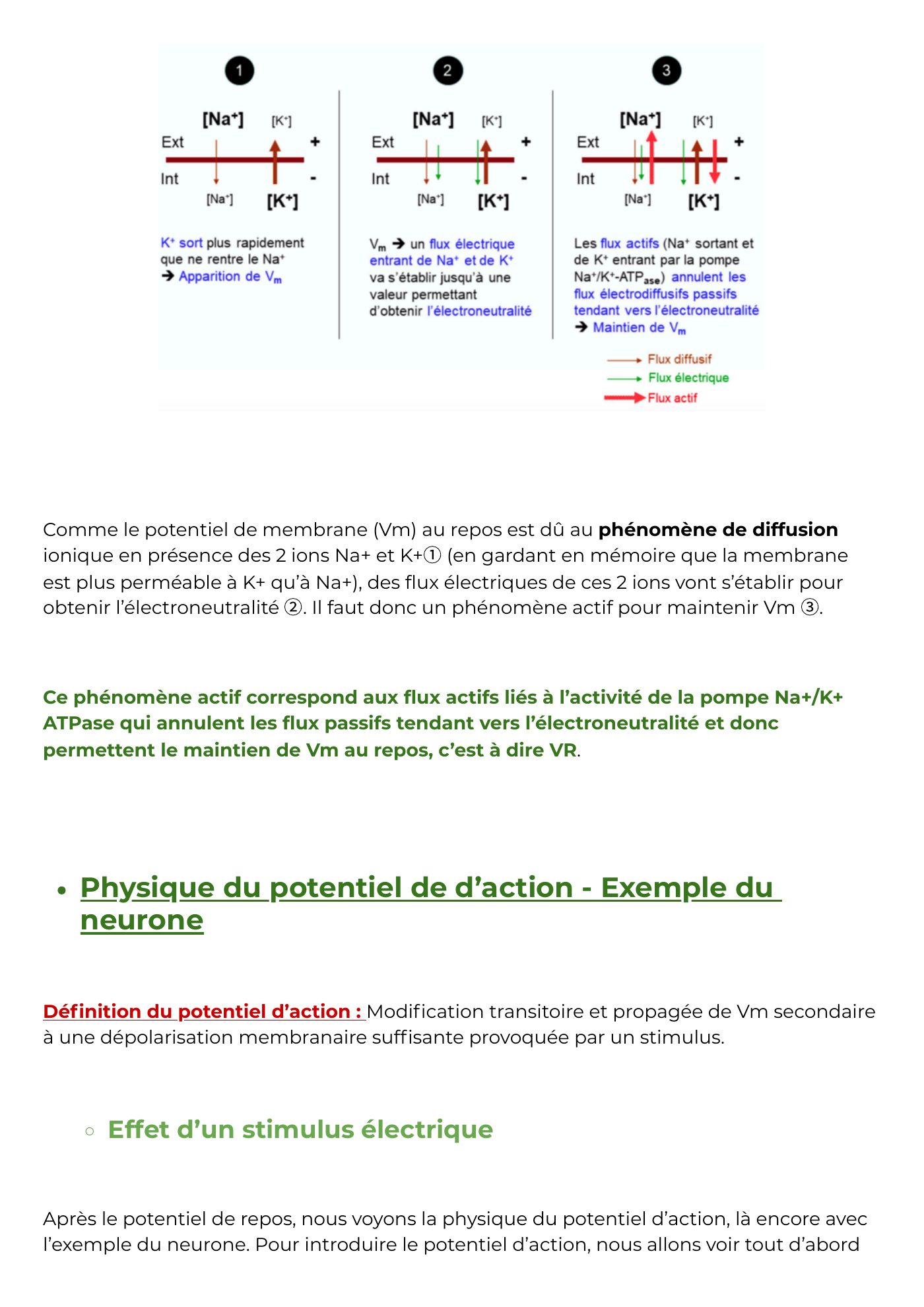 Potentiel membranaire partie 2 — page 6