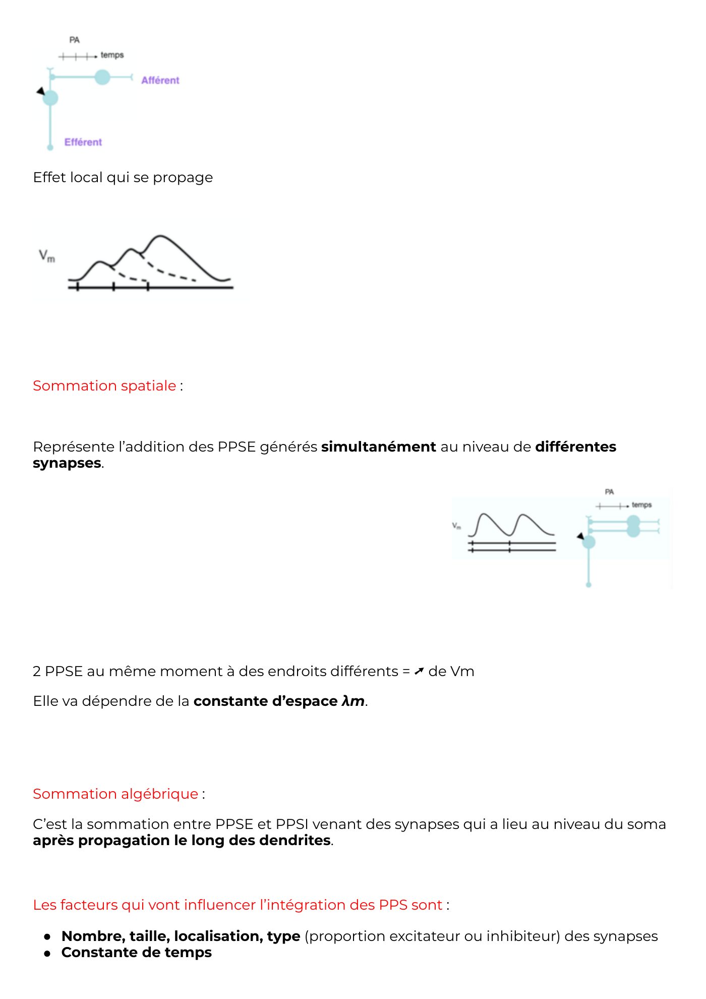 Potentiel Membranaire partie 3 — page 3