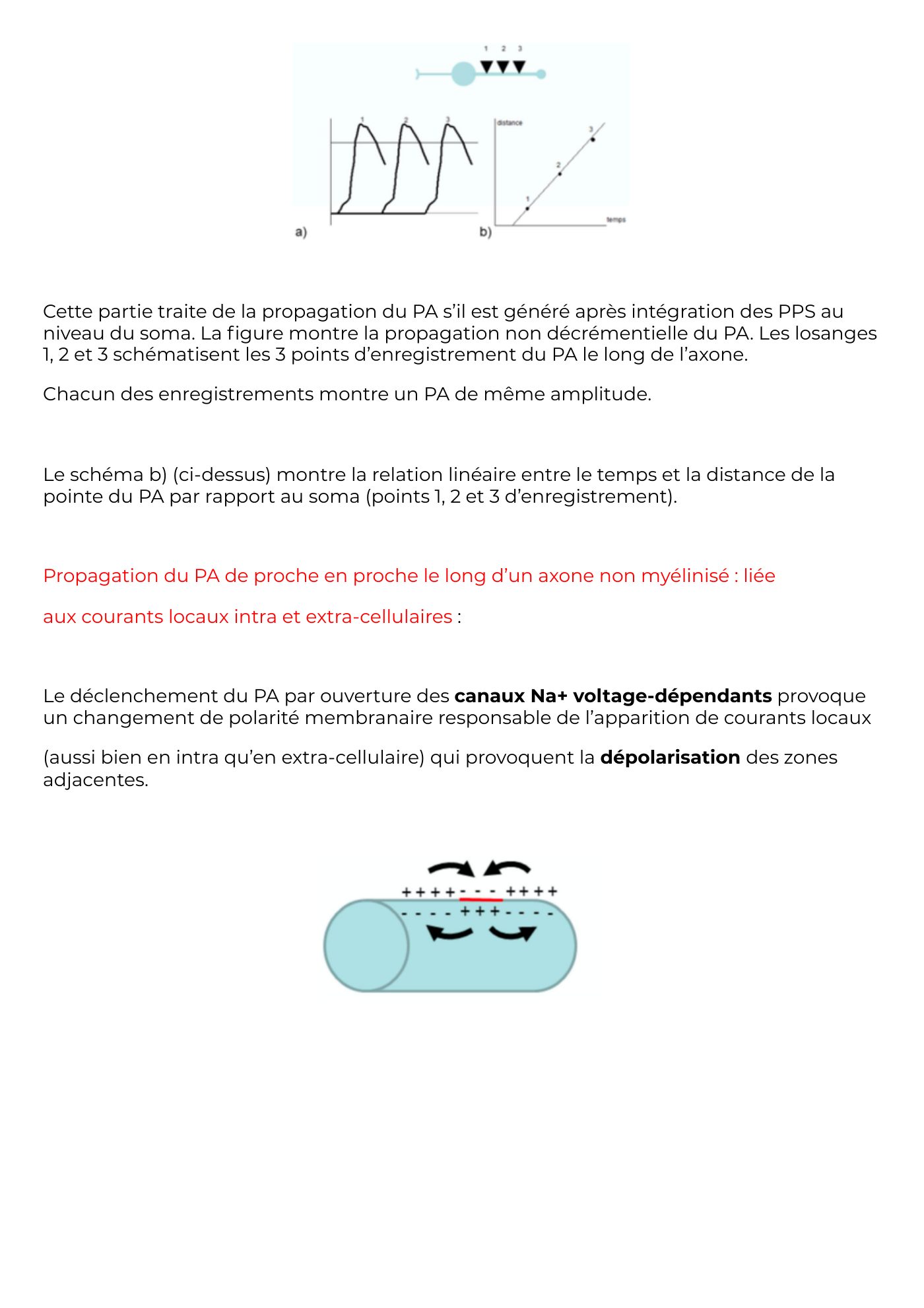 Potentiel Membranaire partie 3 — page 7