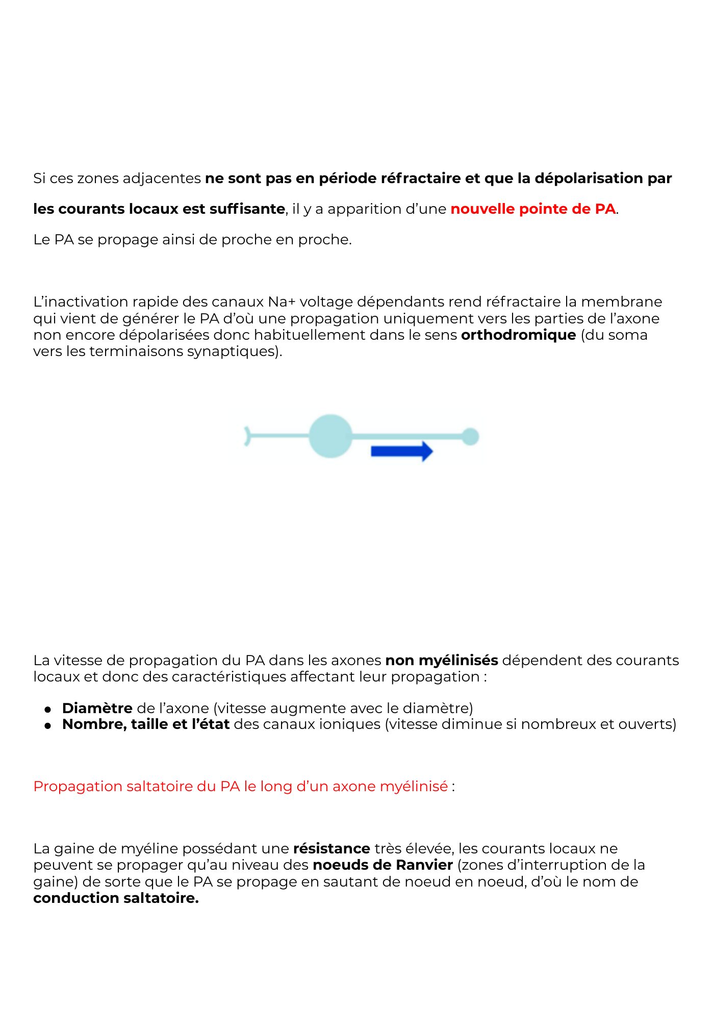 Potentiel Membranaire partie 3 — page 8