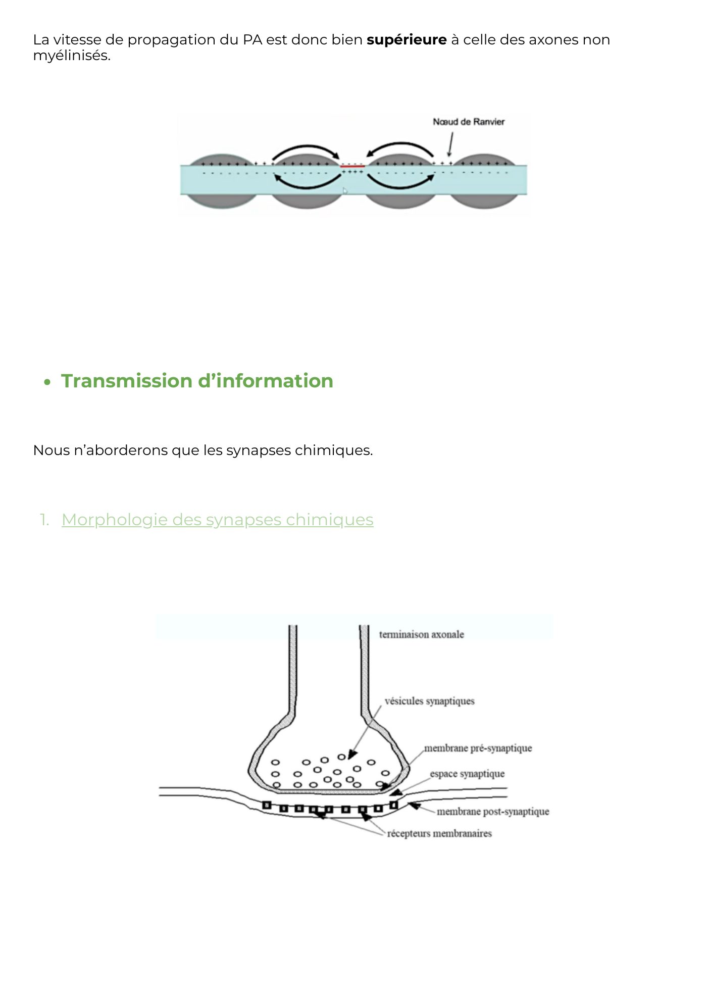 Potentiel Membranaire partie 3 — page 9