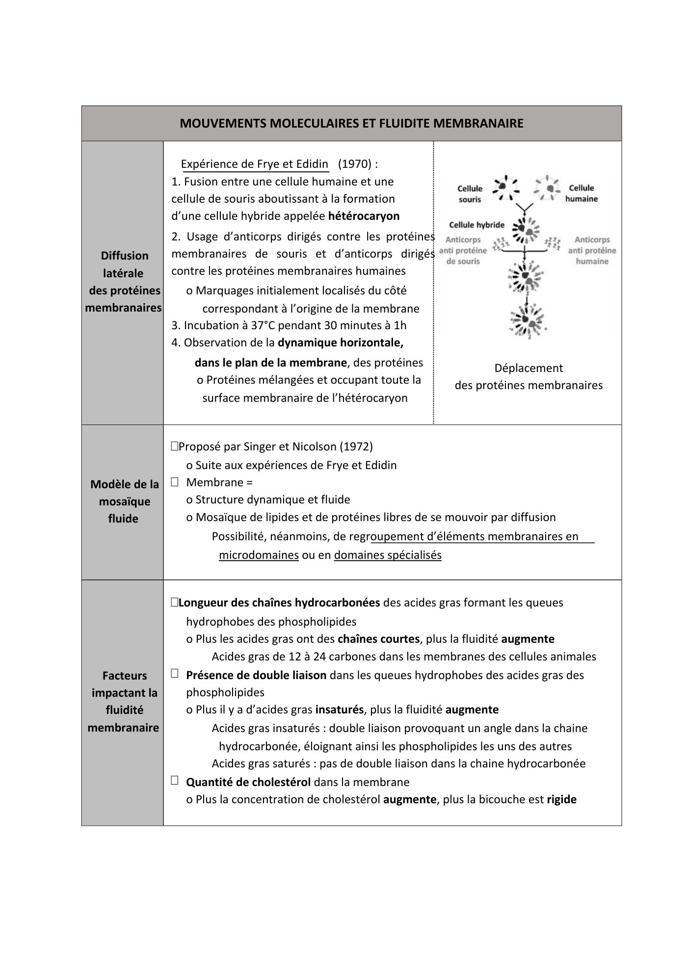 FC actu 1 Membranes — page 10