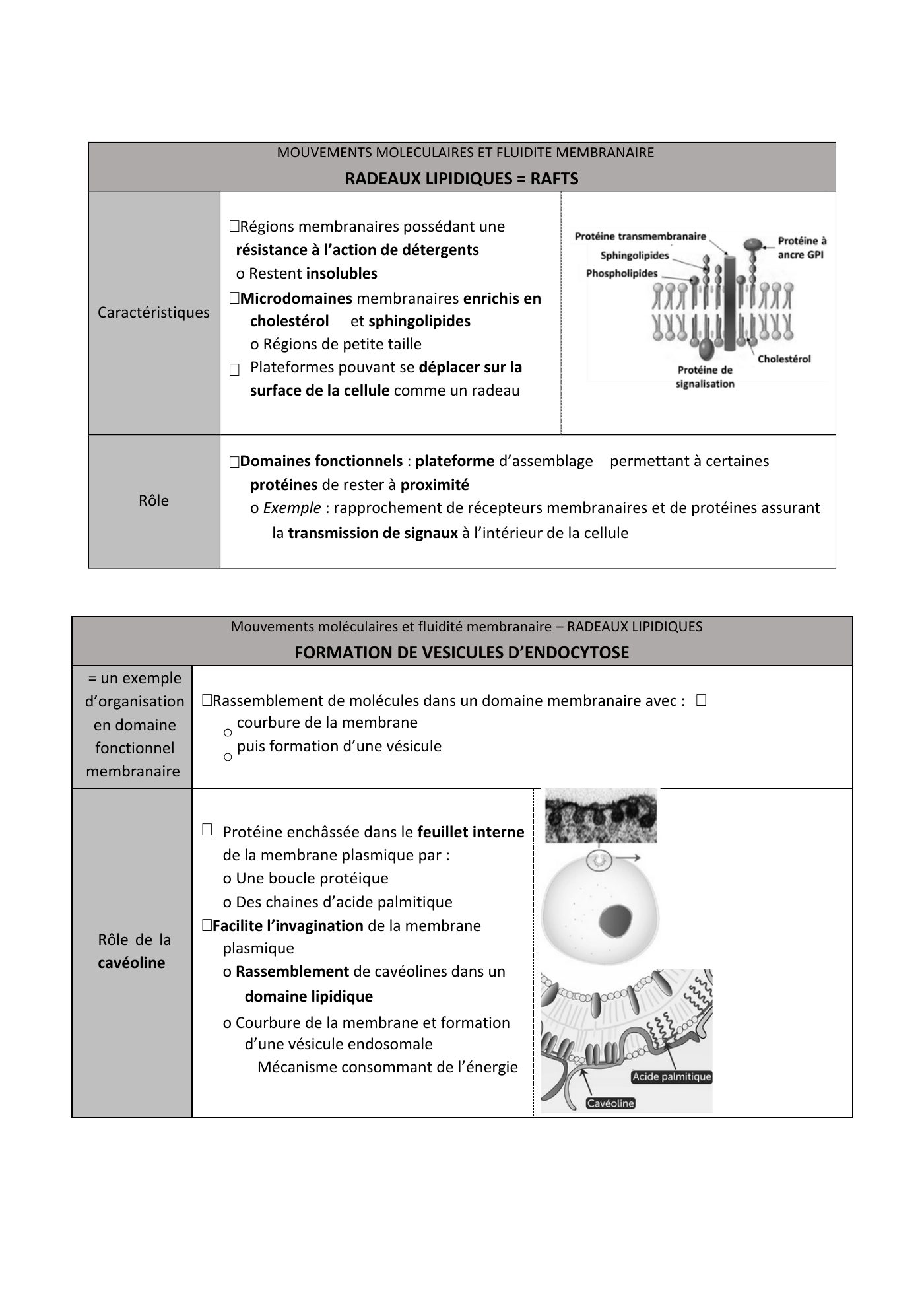 FC actu 1 Membranes — page 11