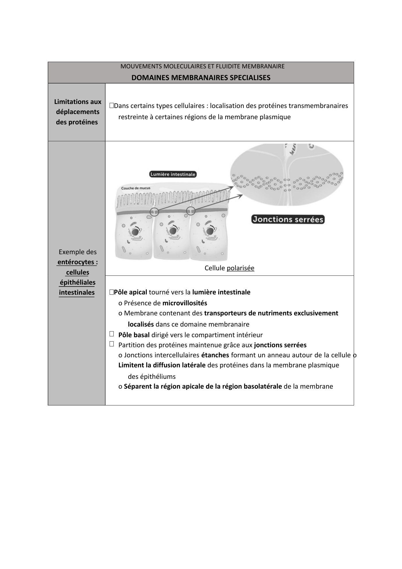 FC actu 1 Membranes — page 12