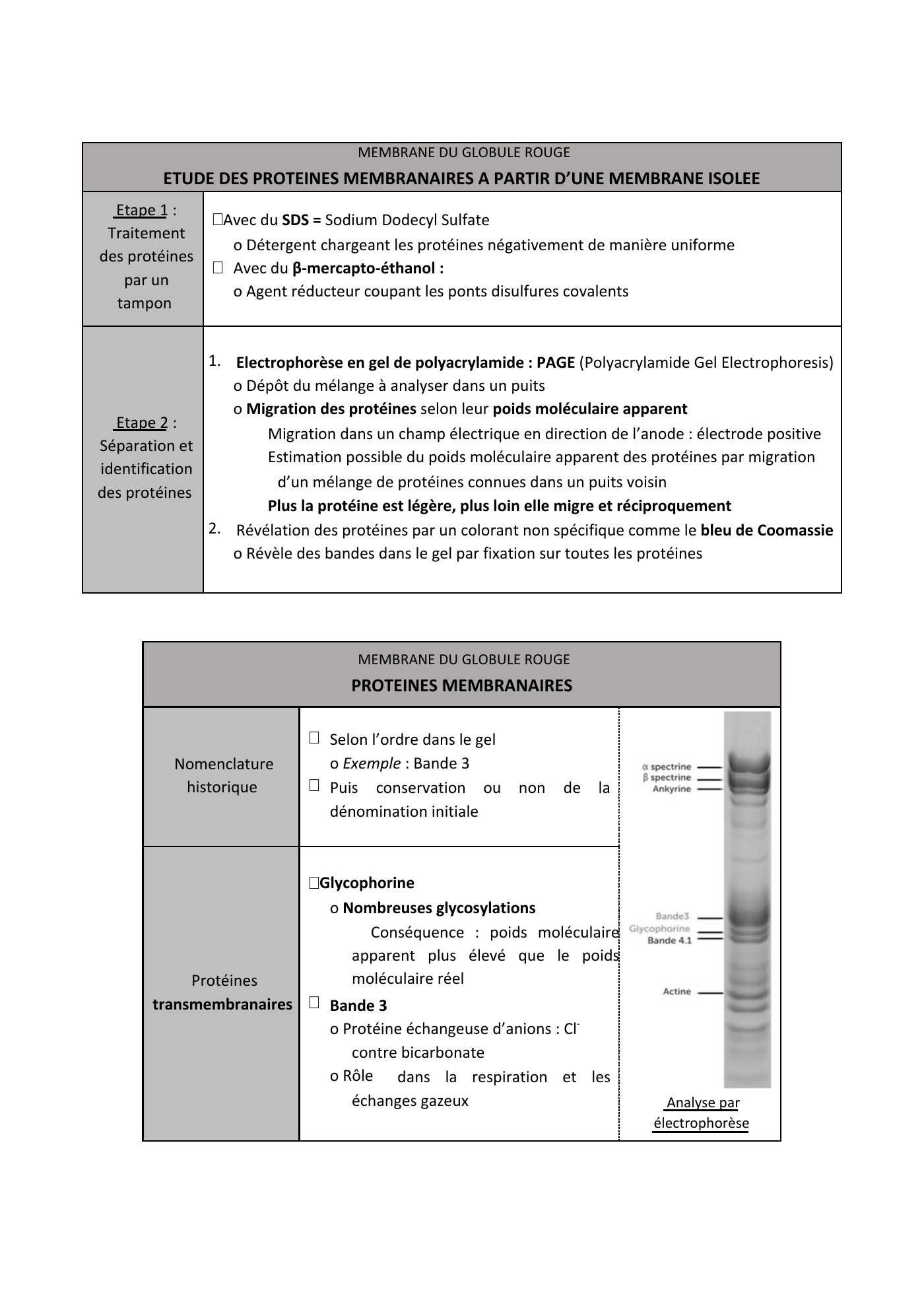 FC actu 1 Membranes — page 15