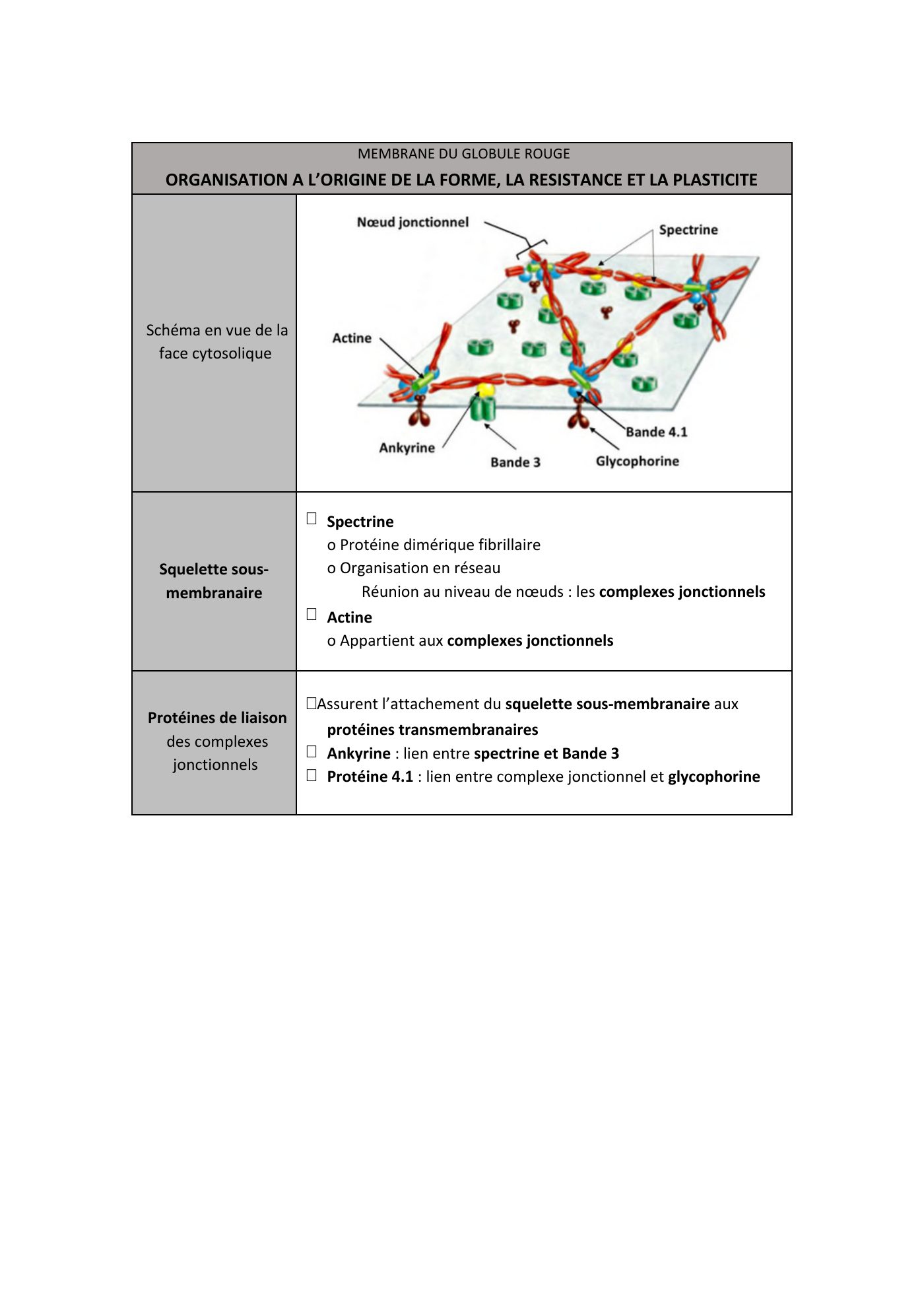 FC actu 1 Membranes — page 16