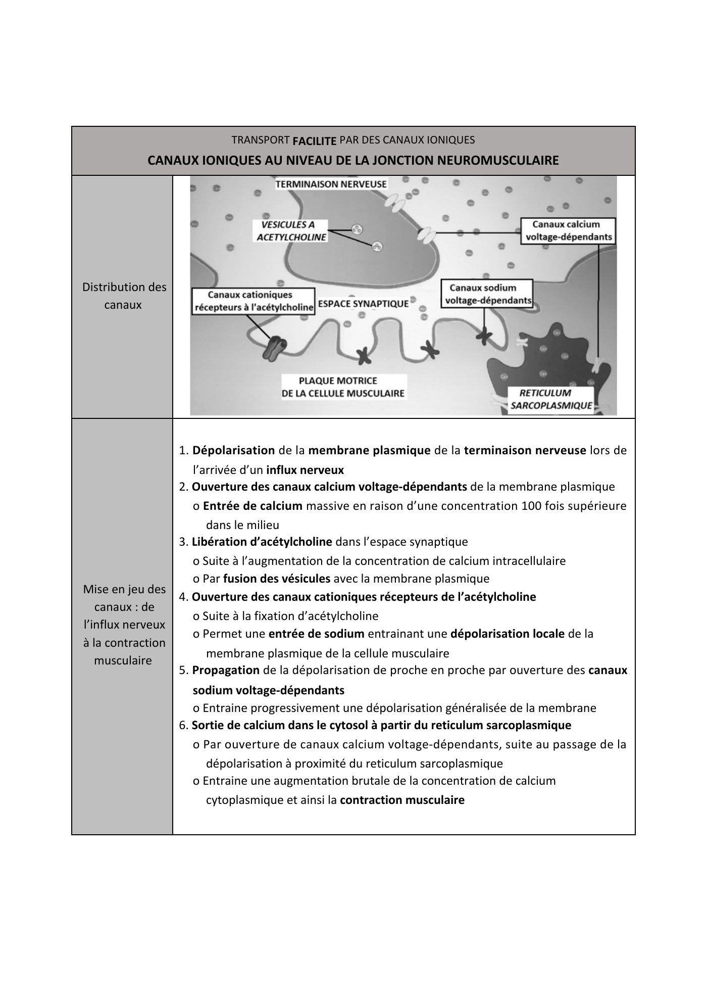FC actu 1 Membranes — page 24
