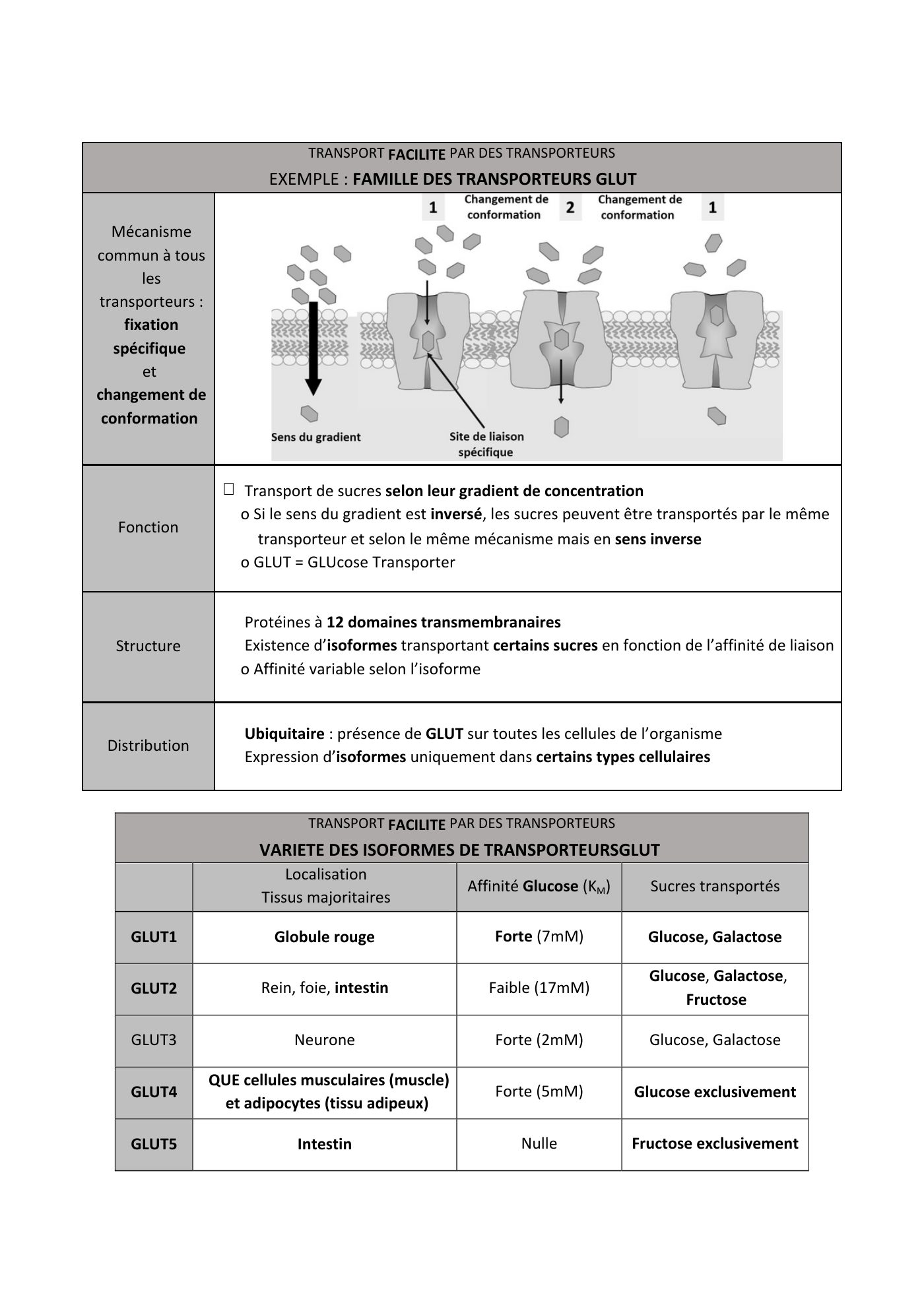 FC actu 1 Membranes — page 25