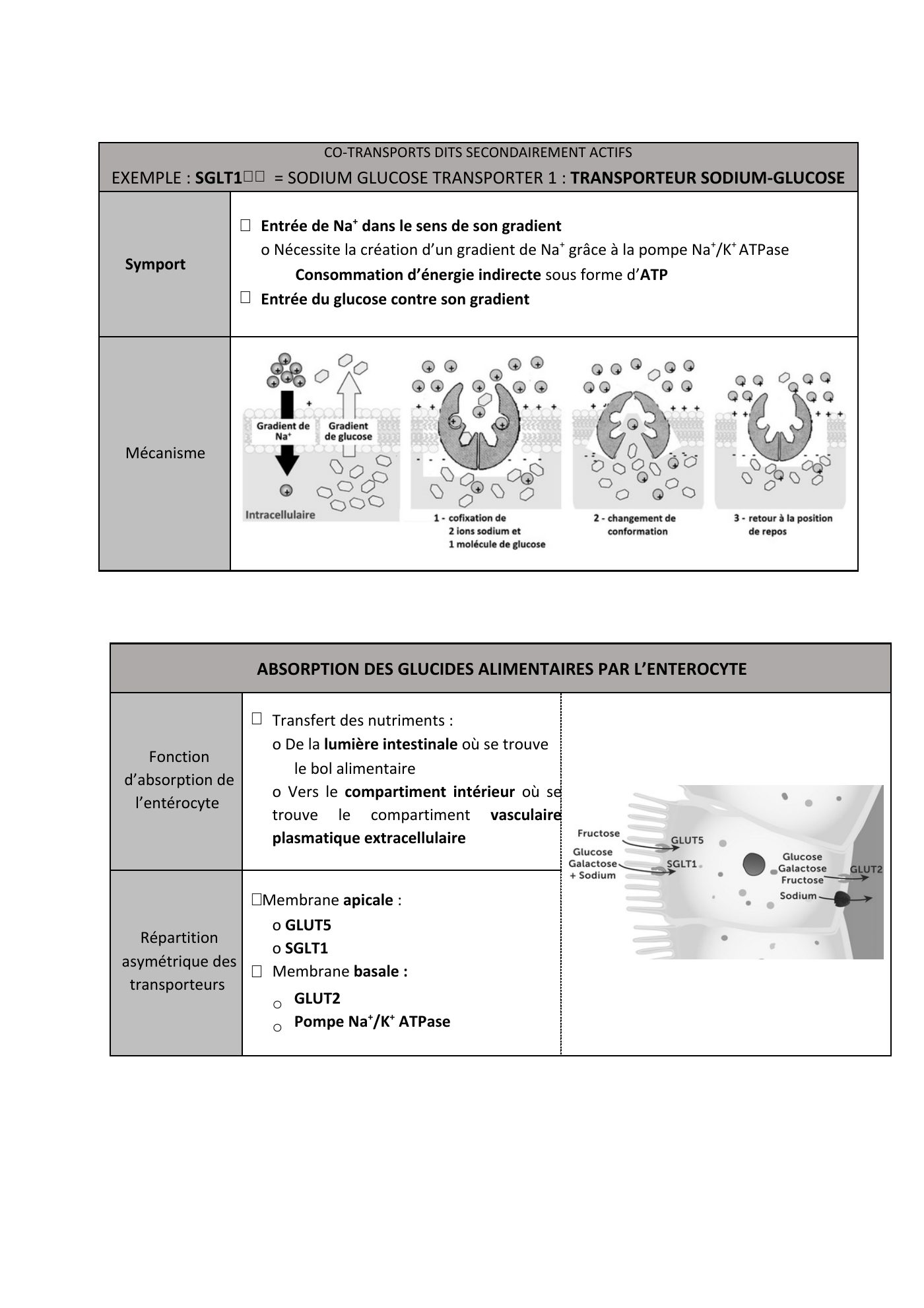 FC actu 1 Membranes — page 28
