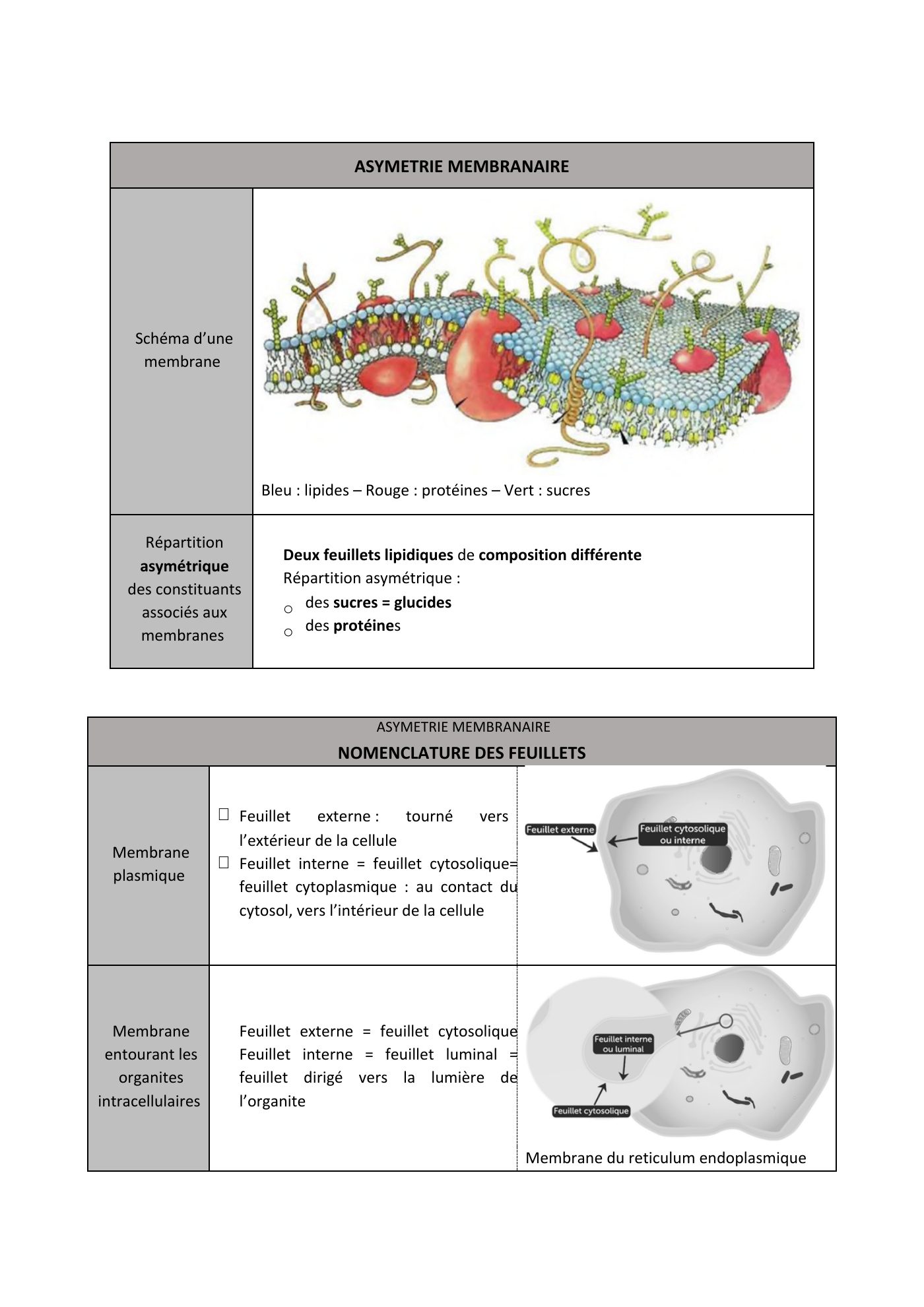 FC actu 1 Membranes — page 3
