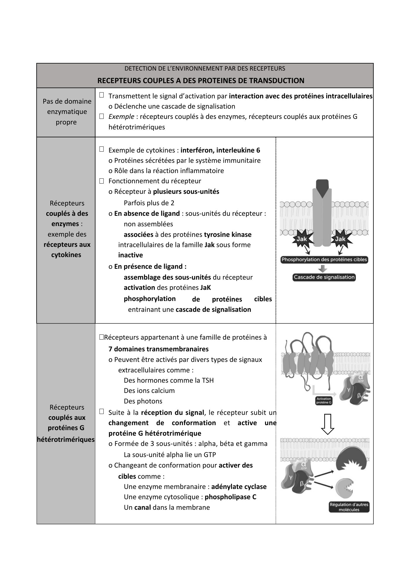 FC actu 1 Membranes — page 31