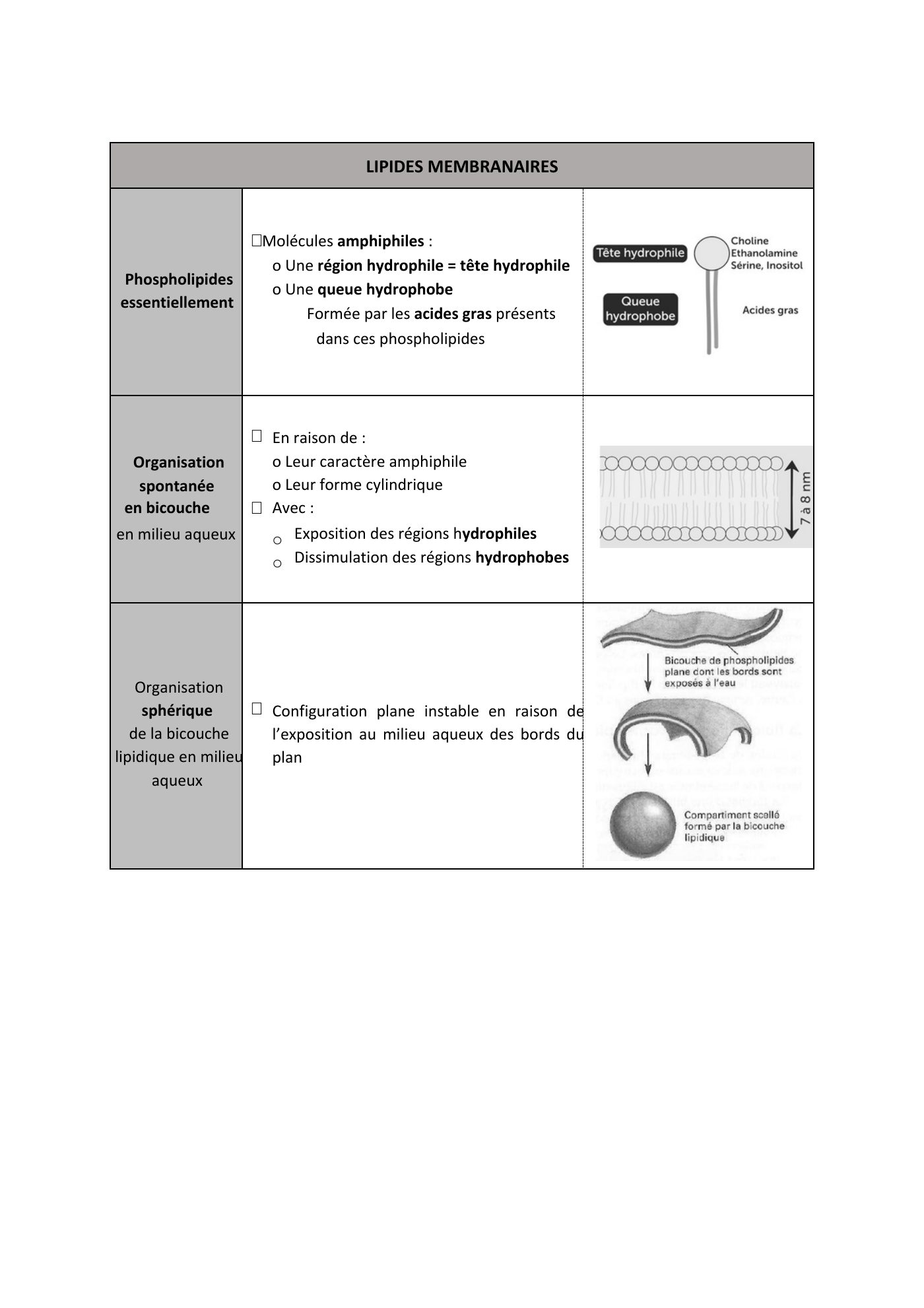 FC actu 1 Membranes — page 4
