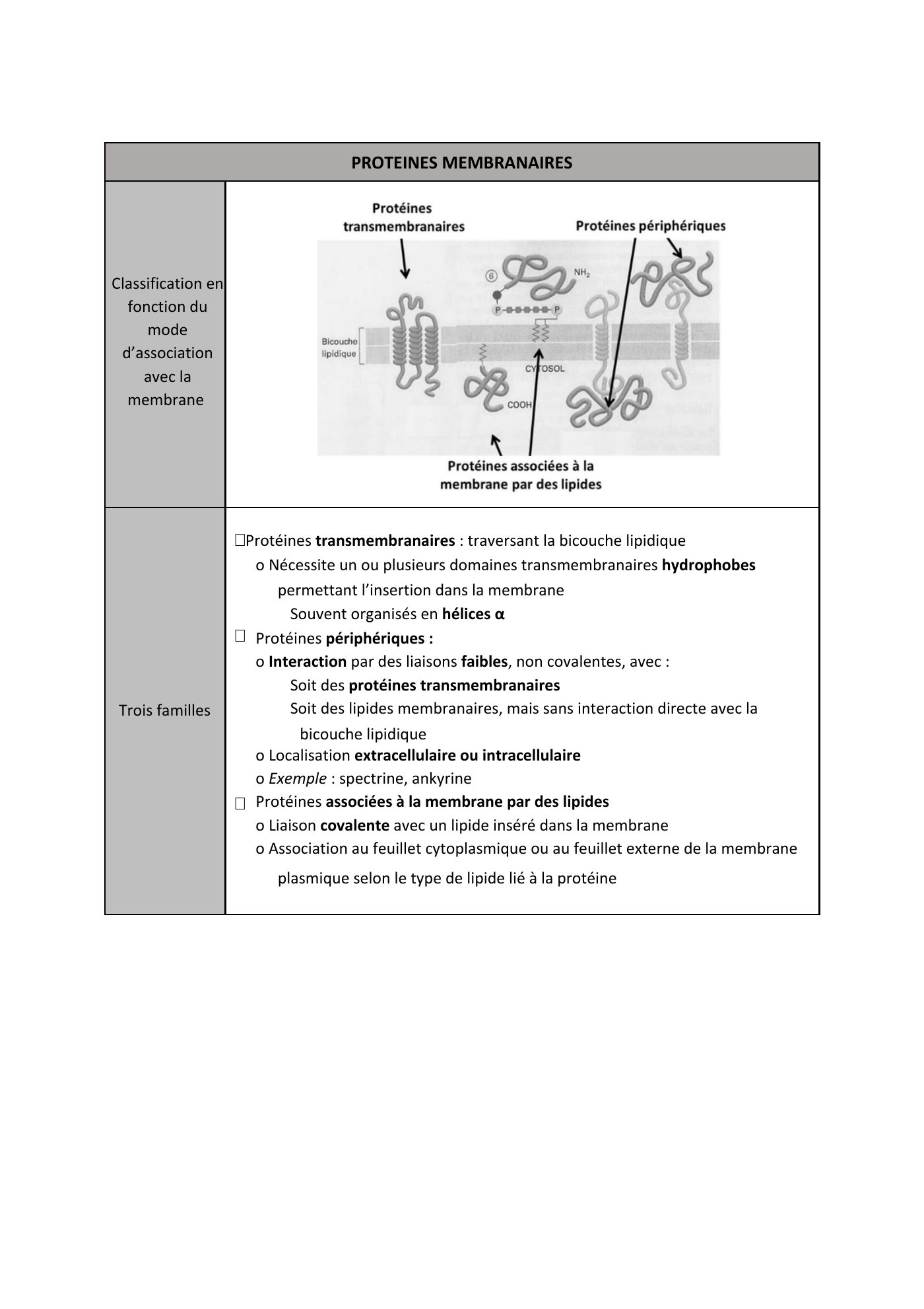 FC actu 1 Membranes — page 6