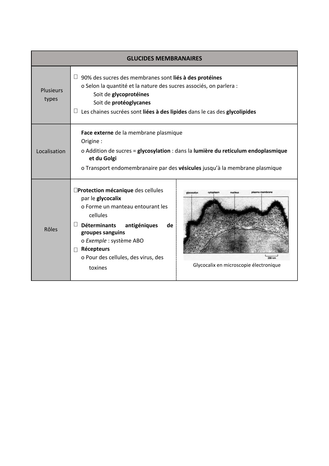 FC actu 1 Membranes — page 8