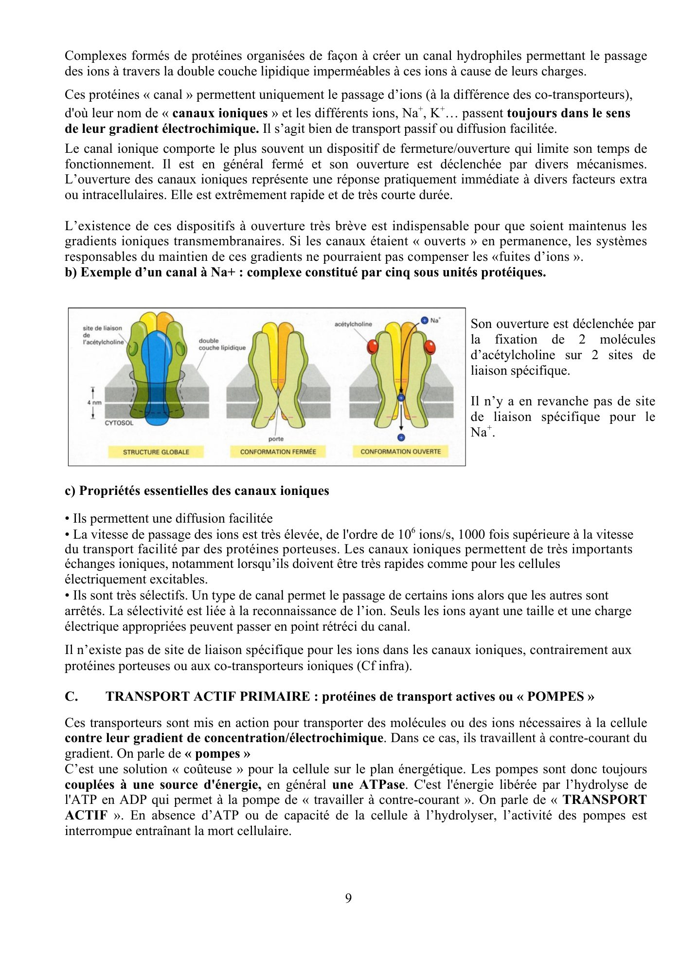 Perméabilité membranaire nogueira — page 10